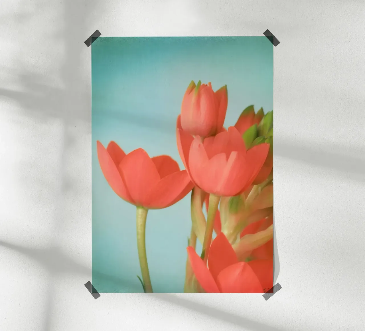 Fiori di corallo poster con telaio in plastica da Eva Nev Photography