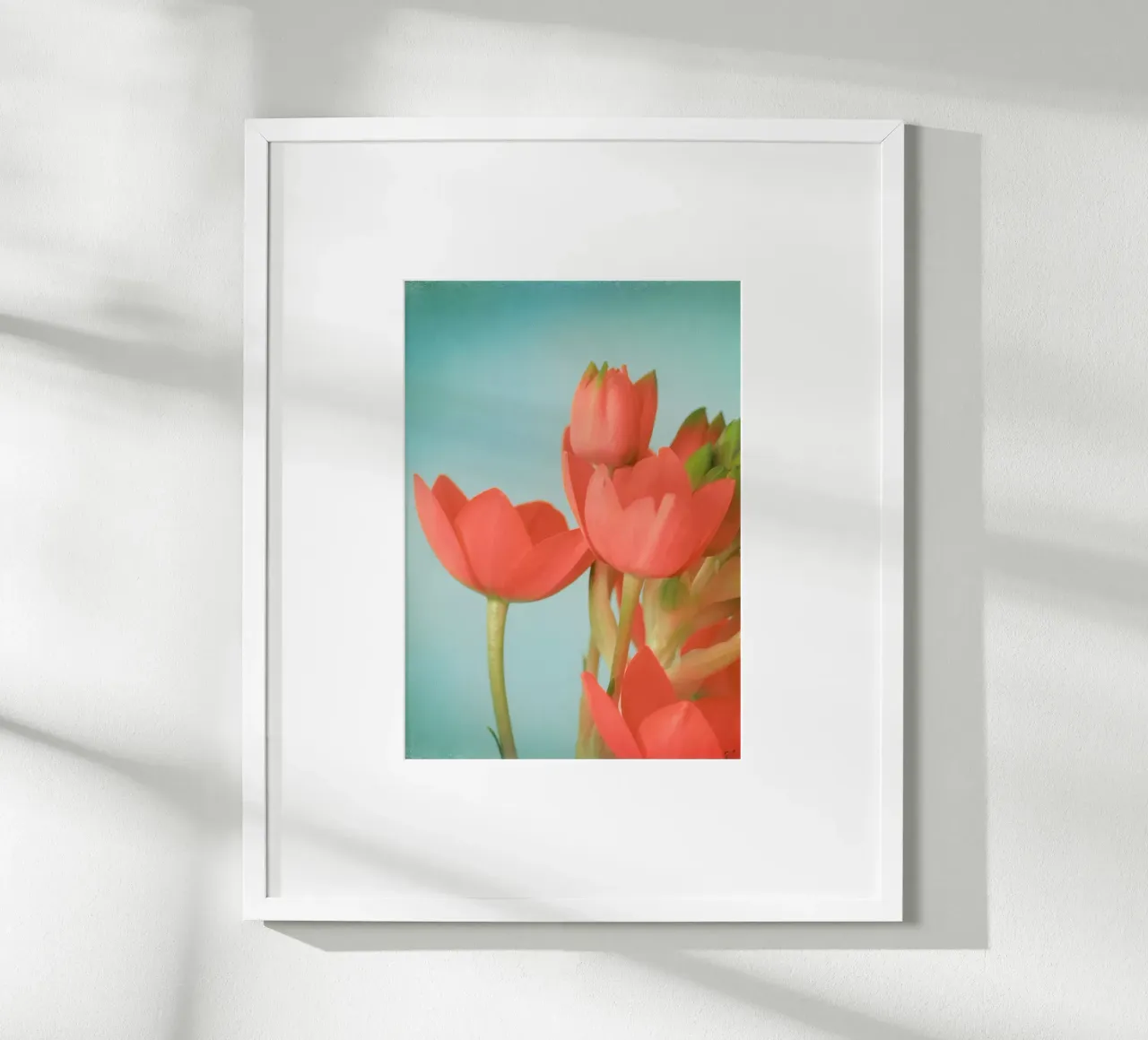 Fiori di corallo poster con telaio in plastica da Eva Nev Photography