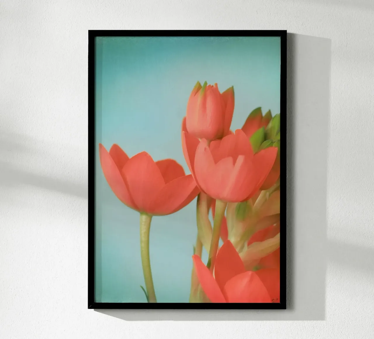 Fiori di corallo poster con telaio in plastica da Eva Nev Photography