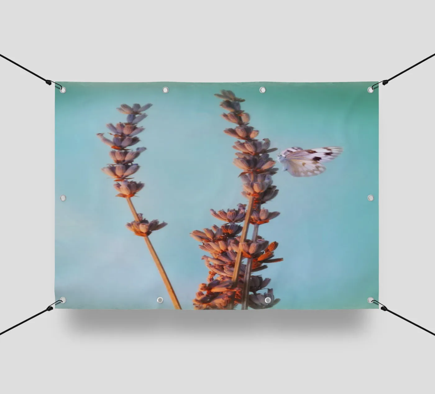 Lavanda telo in pvc da Eva Nev Photography