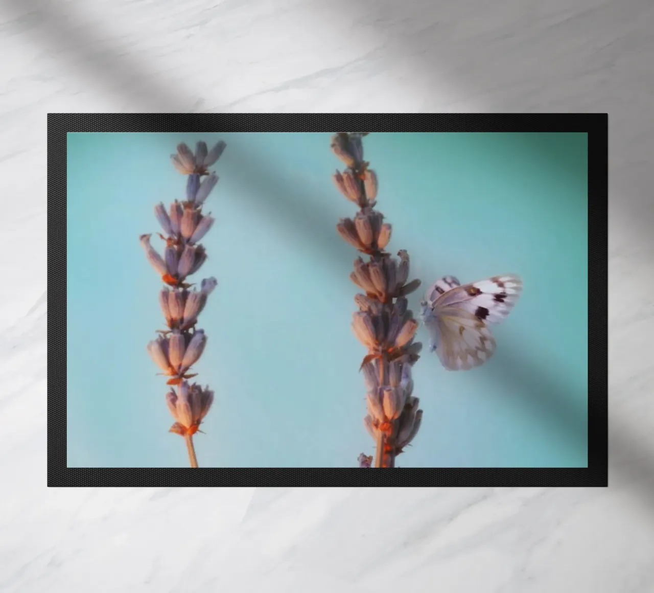 Lavanda zerbino da Eva Nev Photography