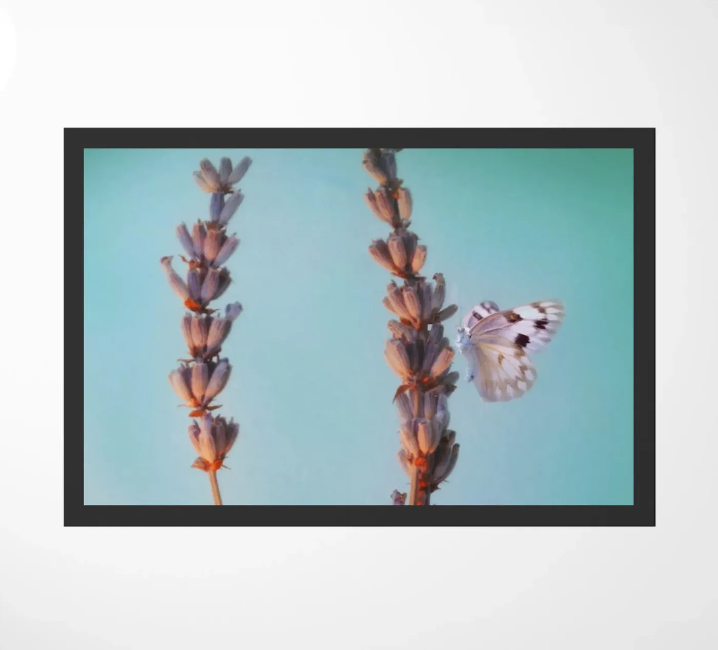 Lavender Fußmatte von Eva Nev Photography