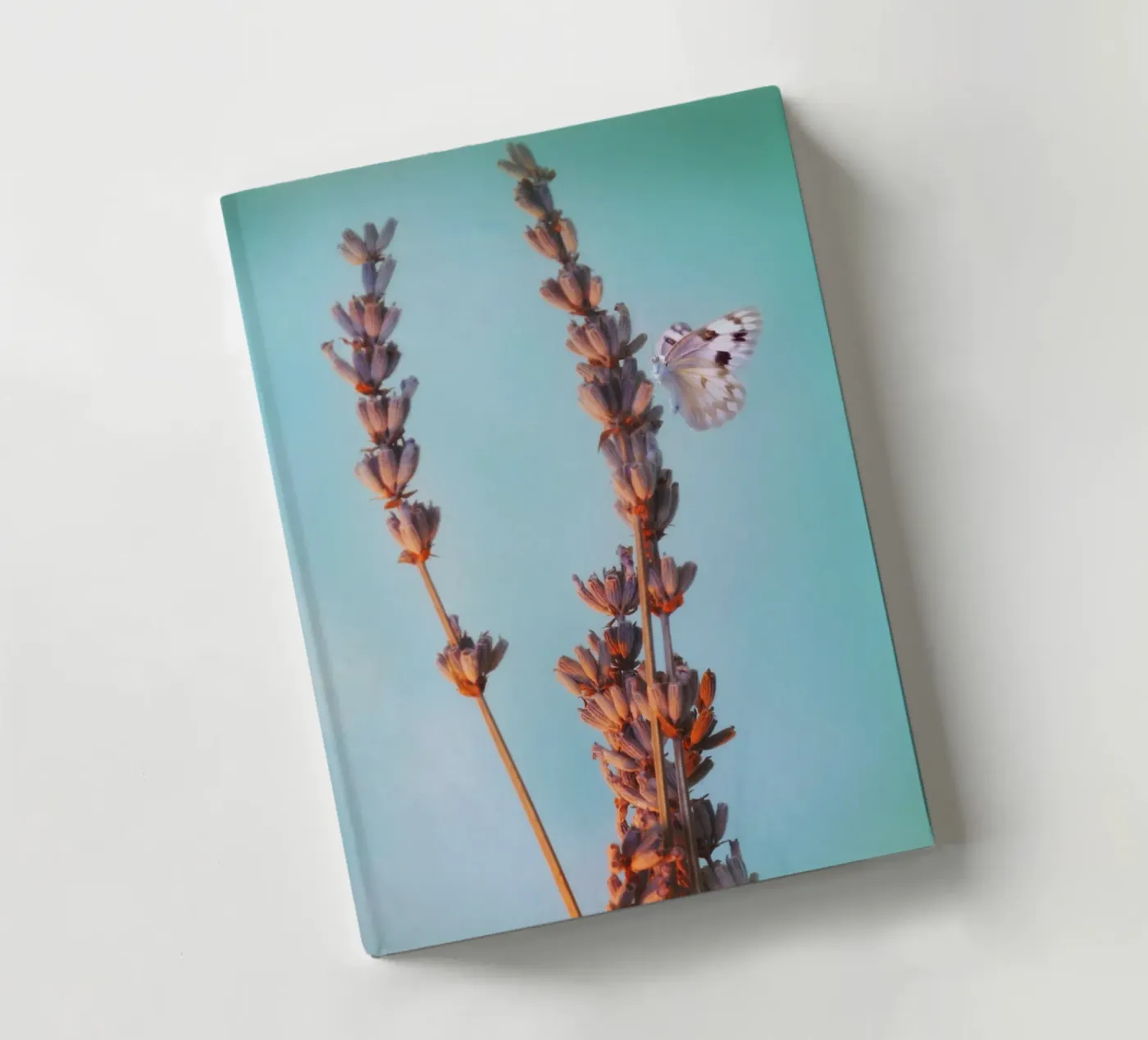 Lavender notebook by Eva Nev Photography