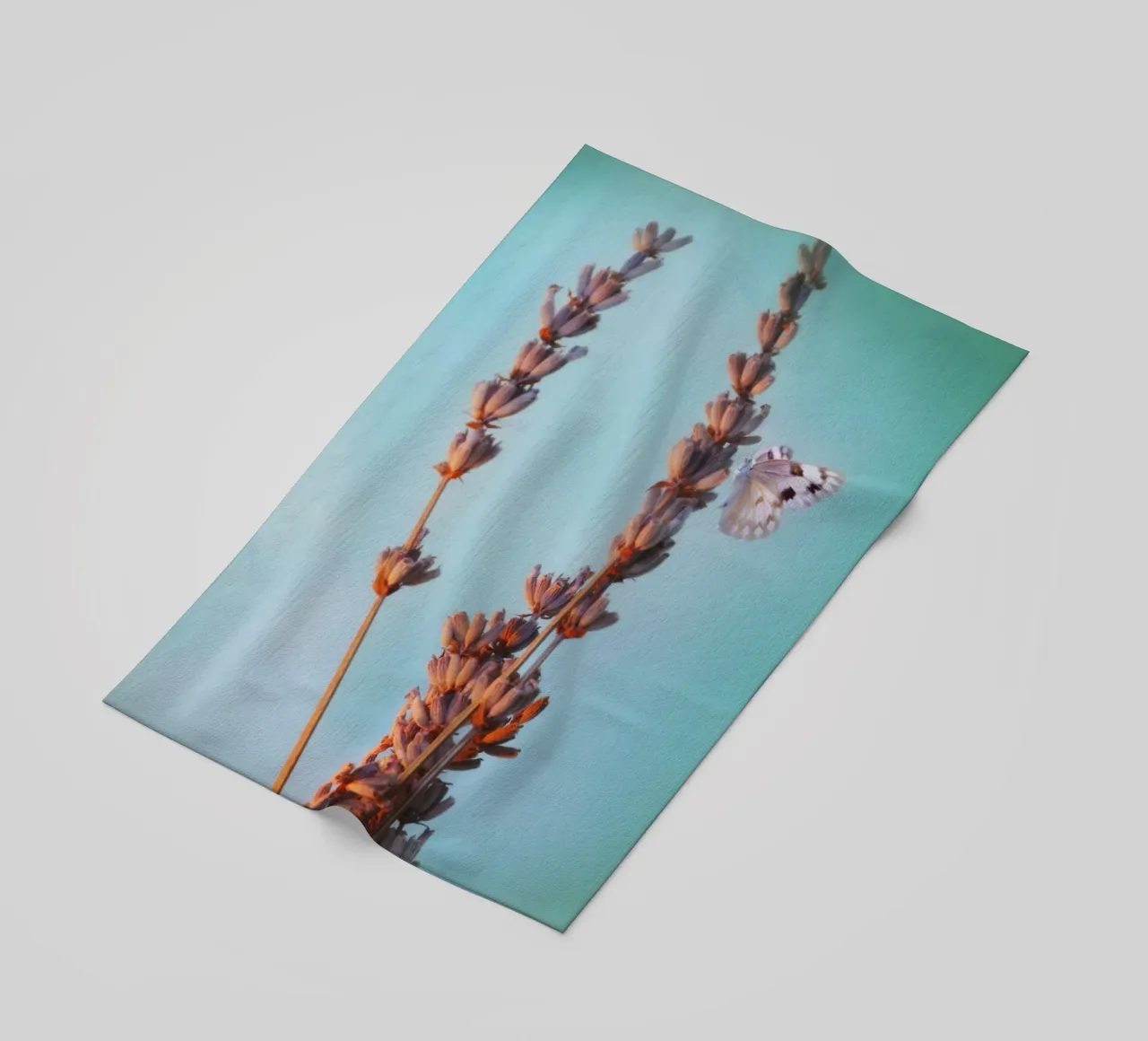 Lavanda telo mare da Eva Nev Photography