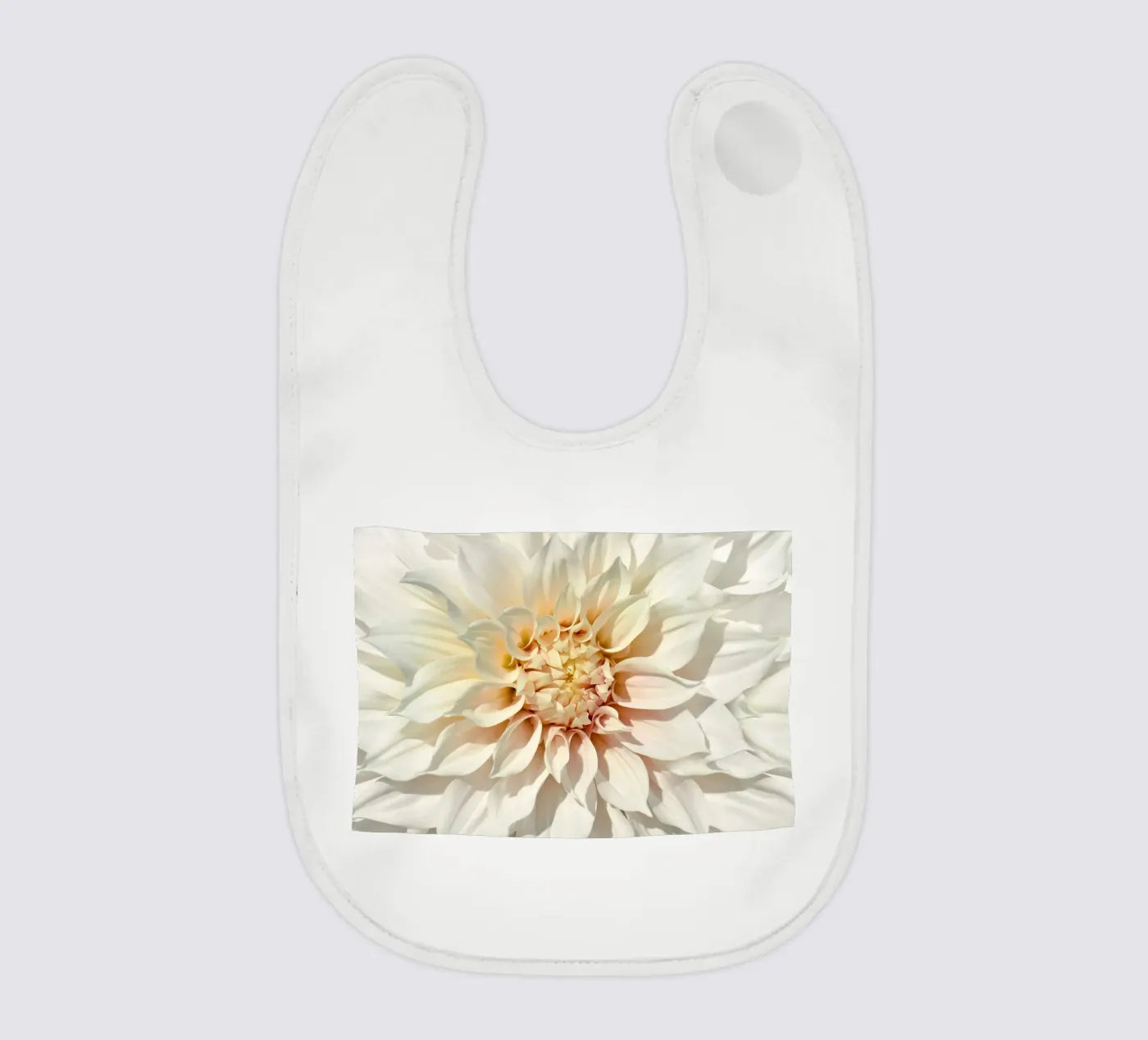 Dalia bavaglino da Atteloi
