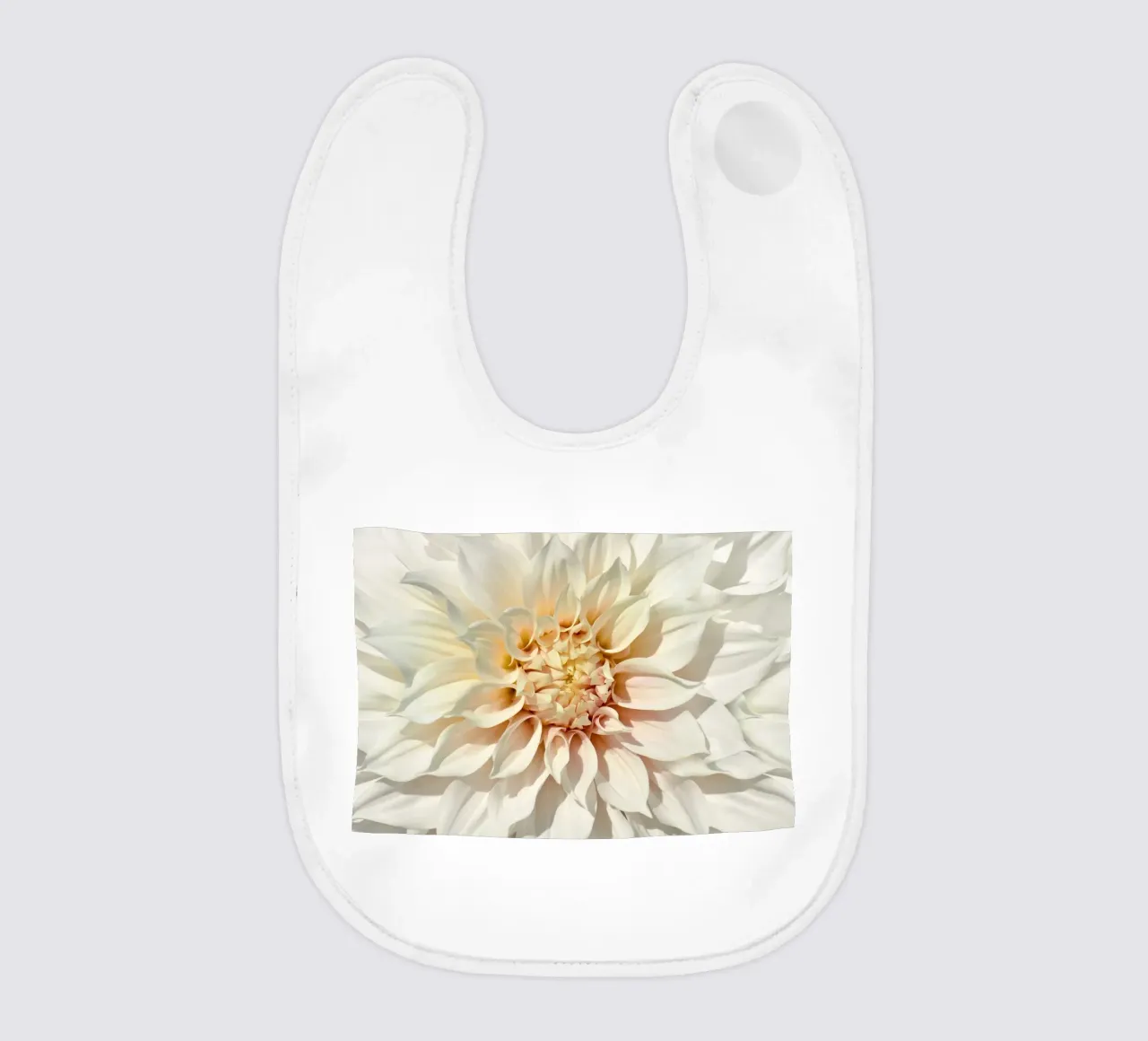 Dalia bavaglino da Atteloi