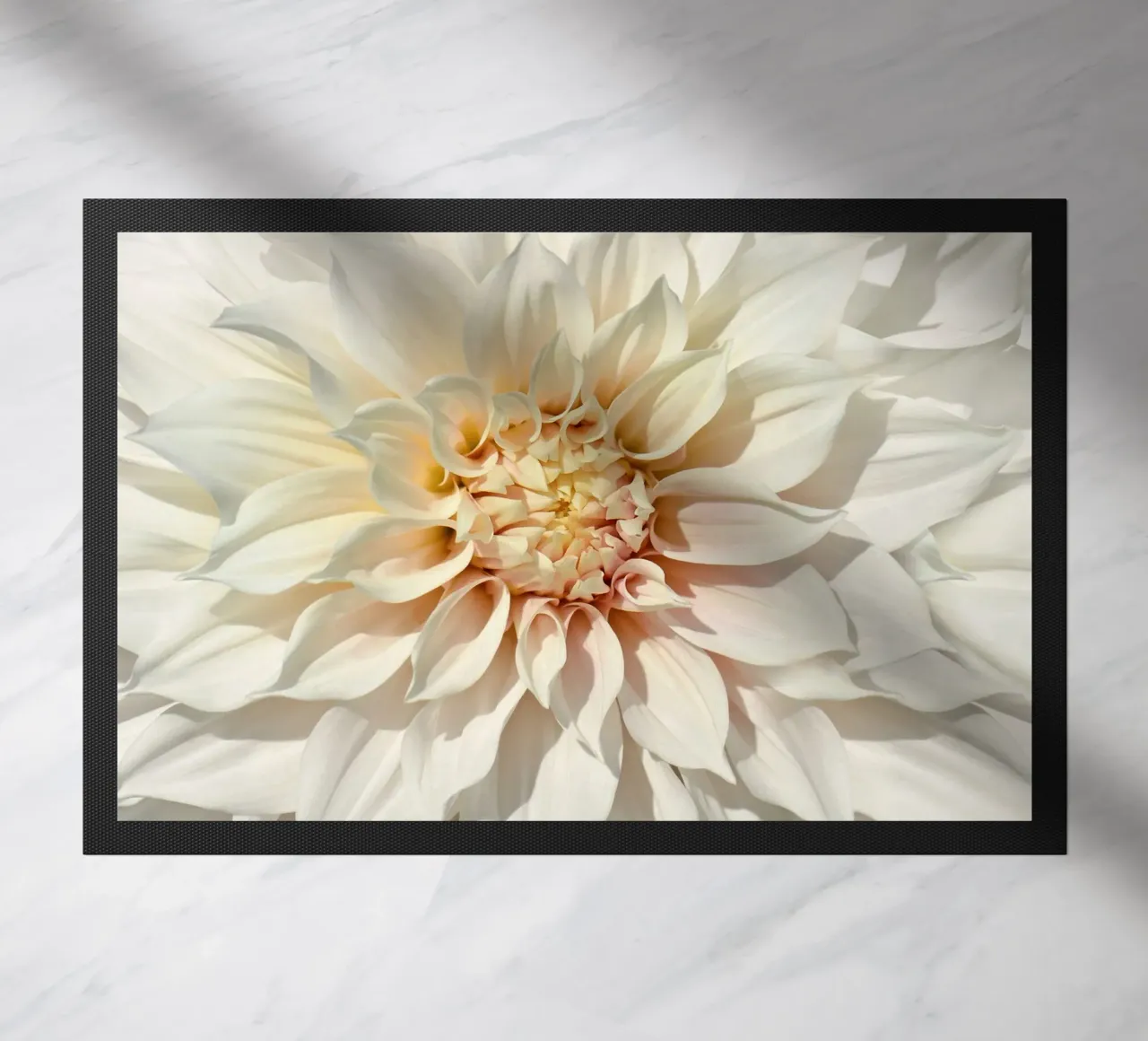 Dalia zerbino da Atteloi