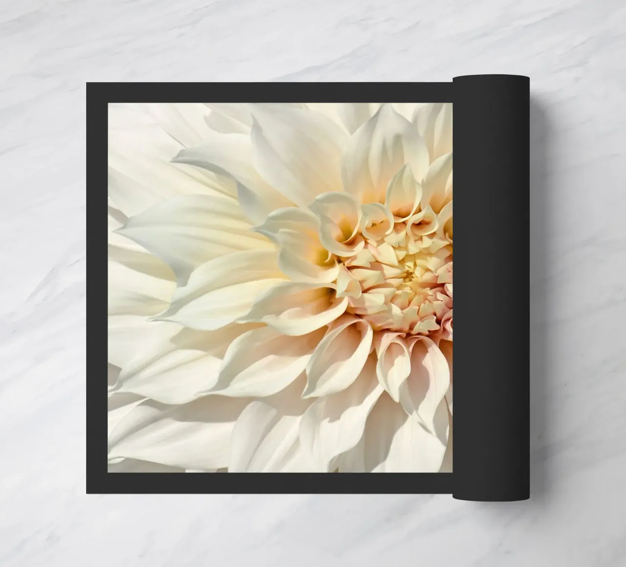 Dalia zerbino da Atteloi