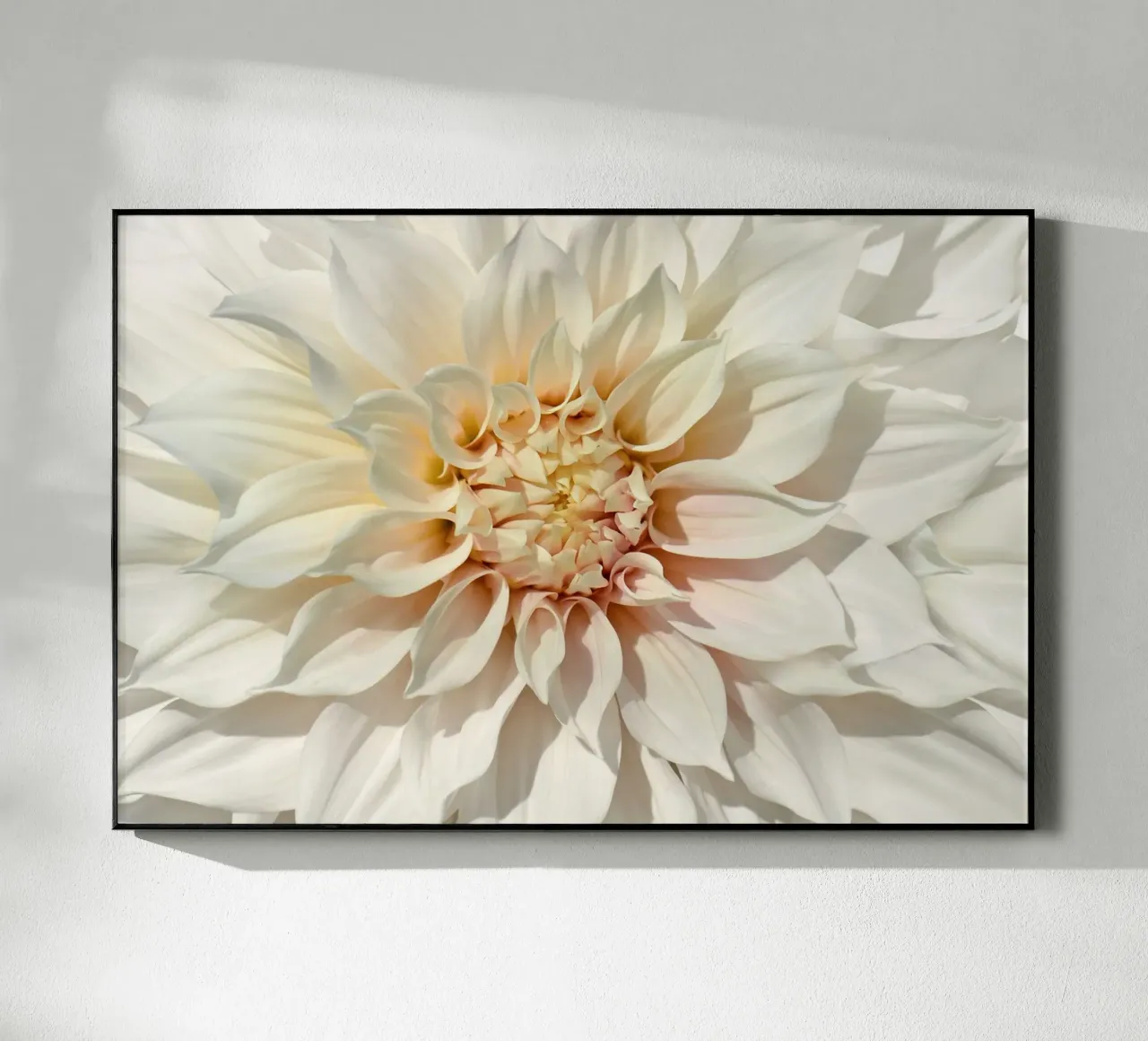 Dahlia plexiglass da Atteloi