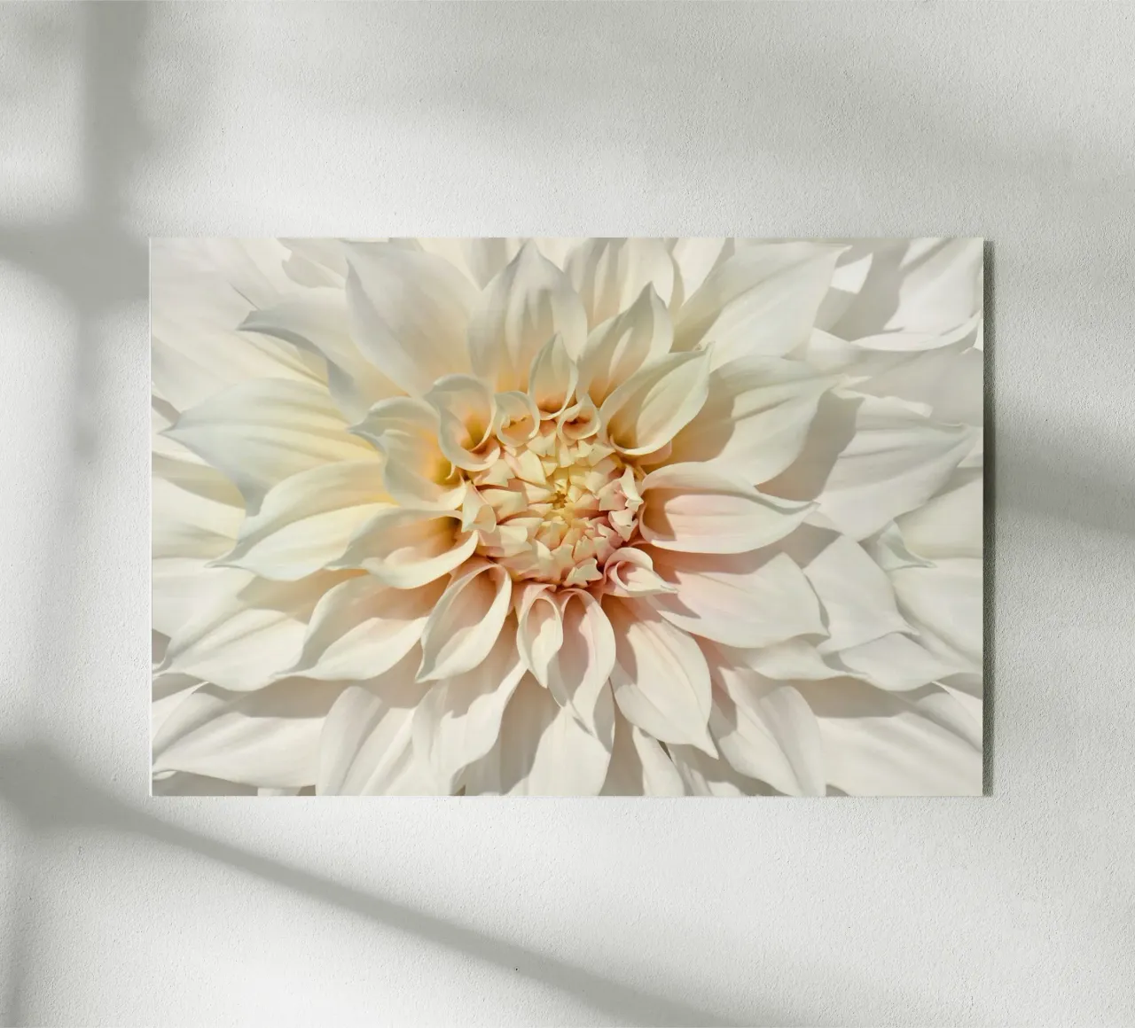 Dahlia plexiglass da Atteloi