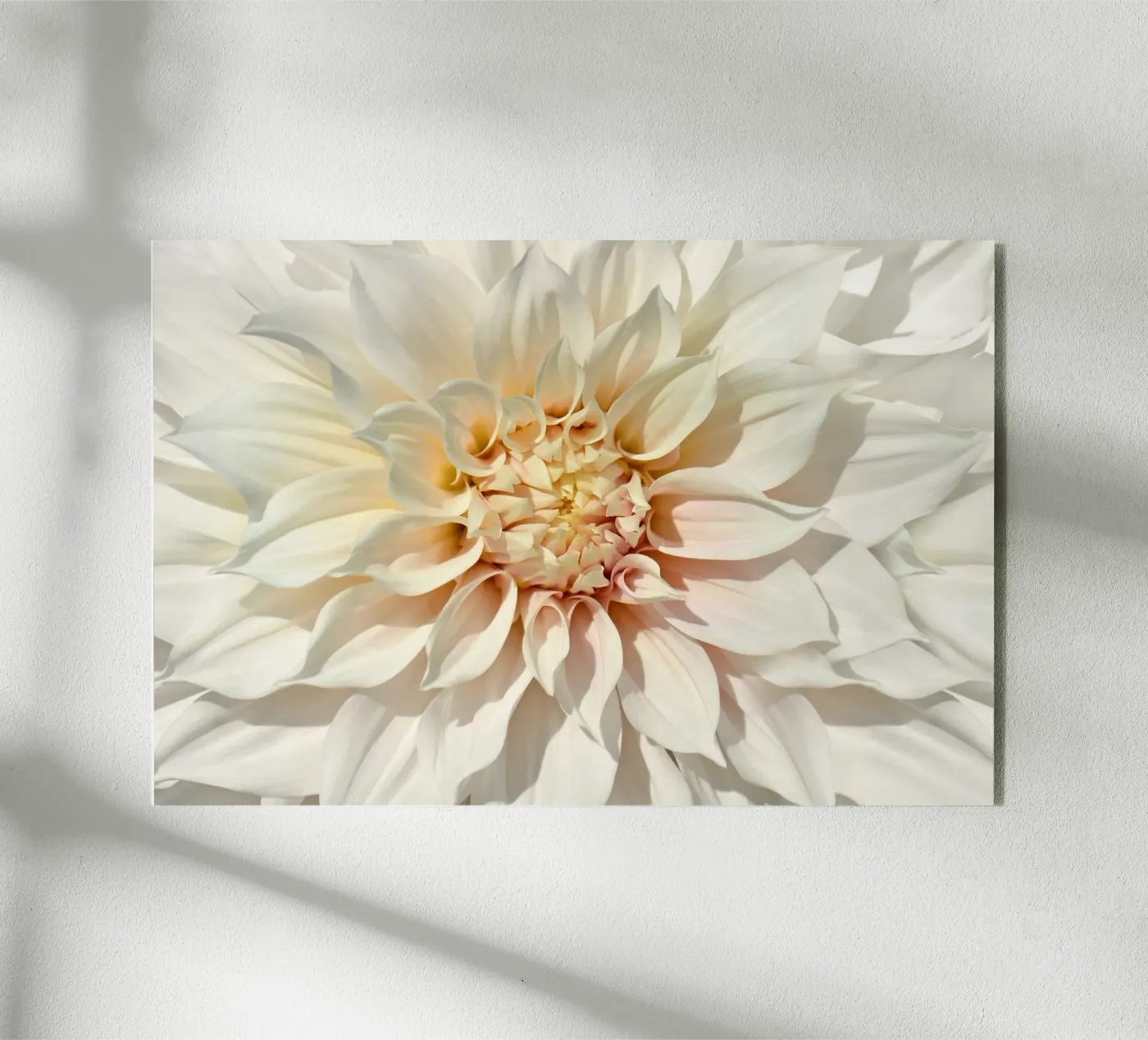 Dalia plexiglass da Atteloi