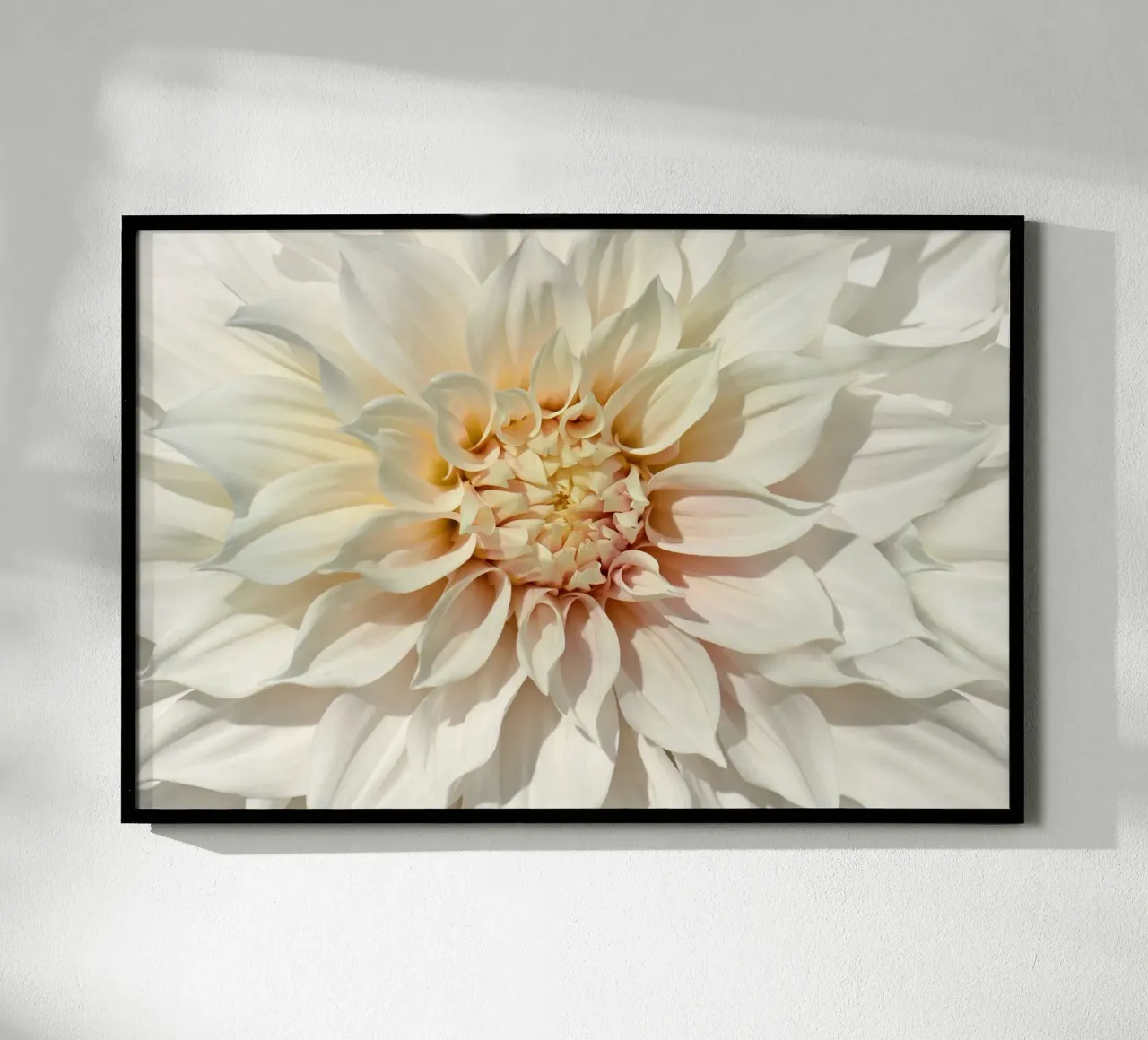 Dalia poster da Atteloi