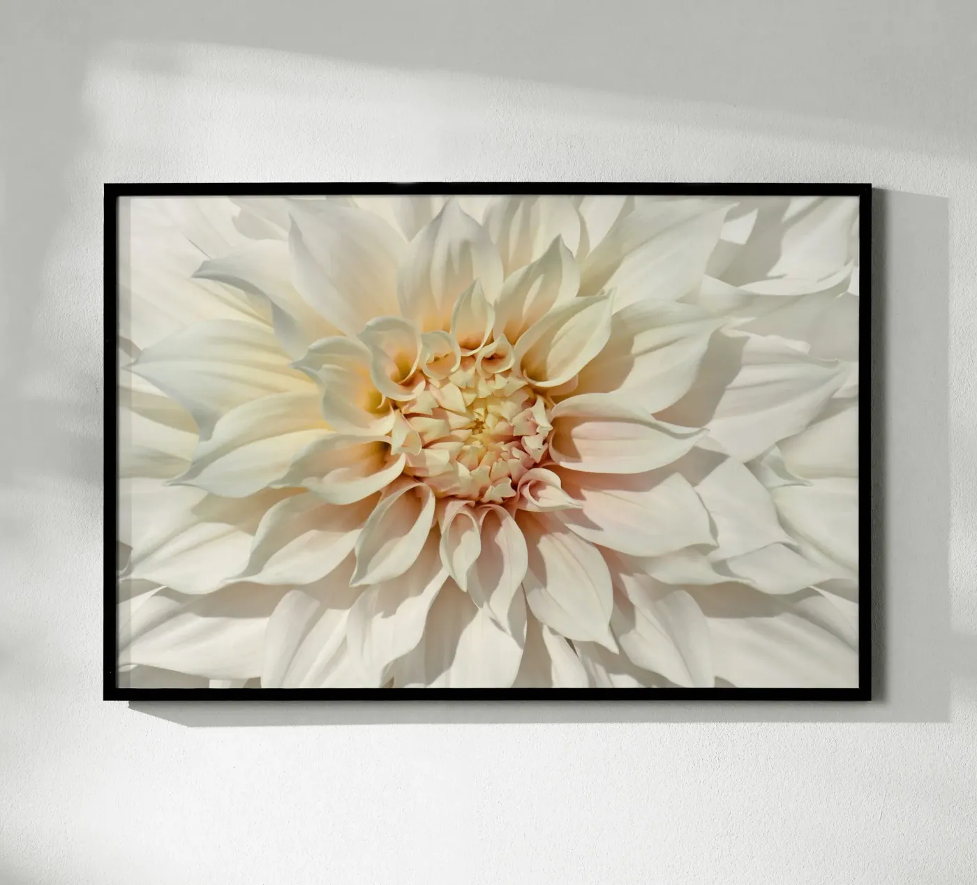 Dalia poster da Atteloi