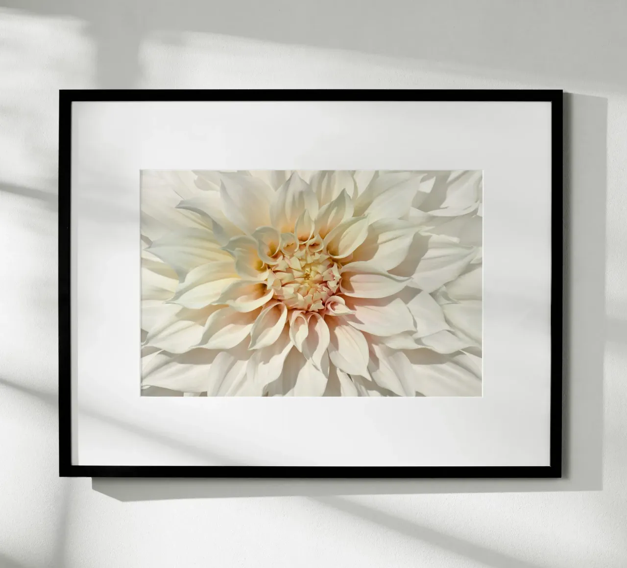 Dalia poster da Atteloi