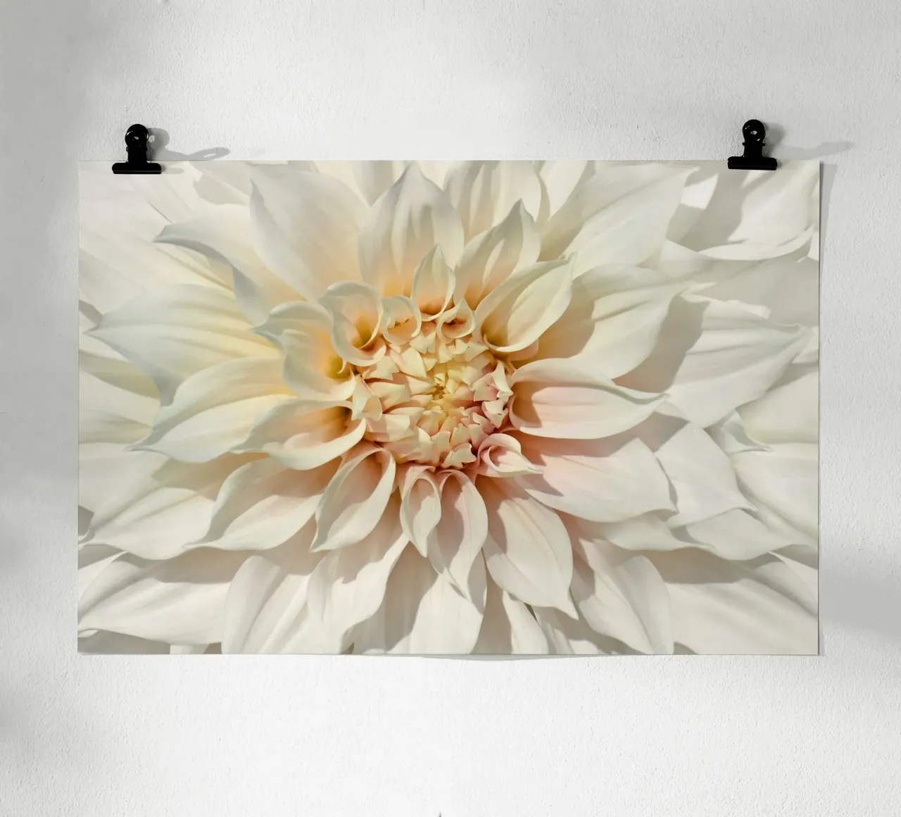 Dalia poster da Atteloi