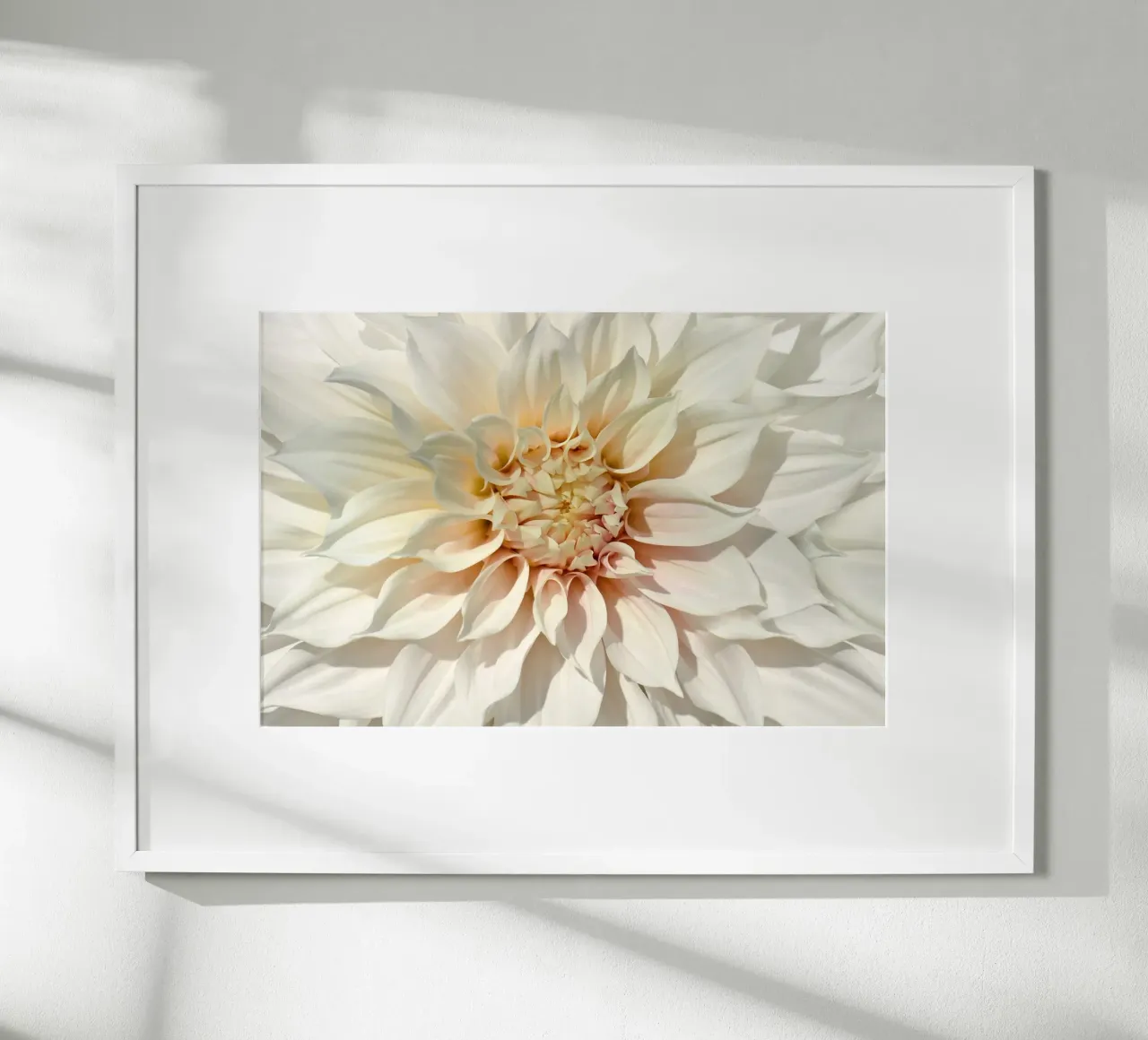 Dalia poster da Atteloi