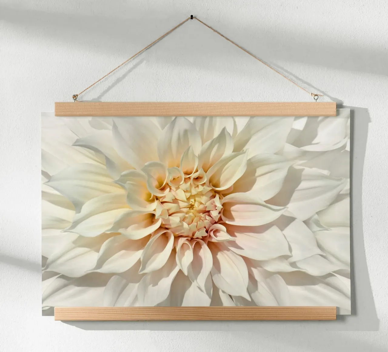 Dalia poster da Atteloi