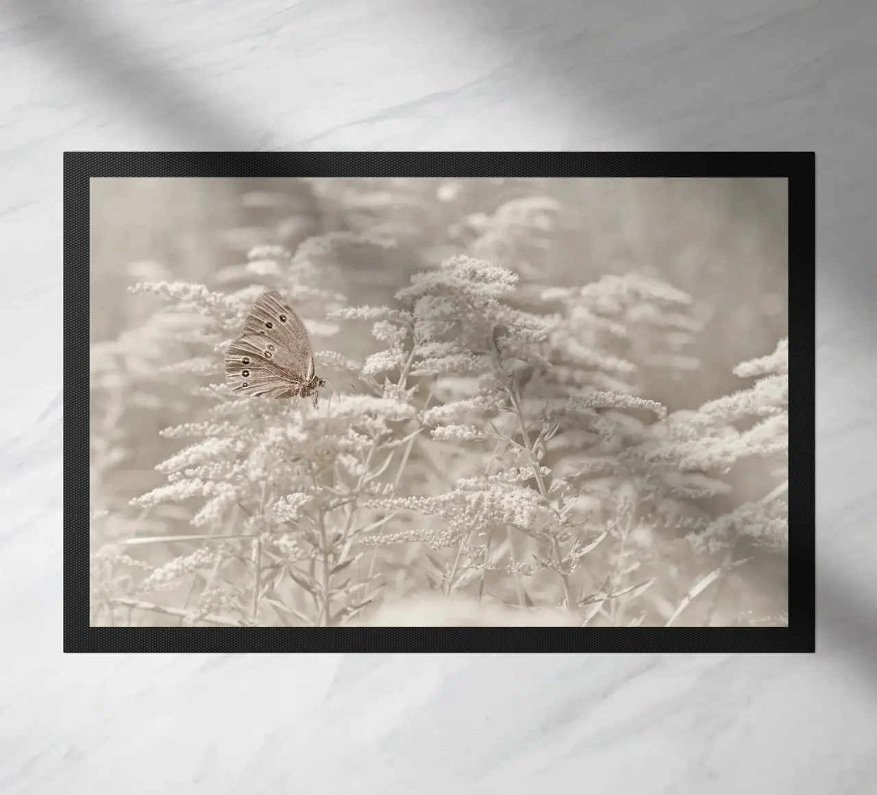 Farfalla zerbino da Atteloi