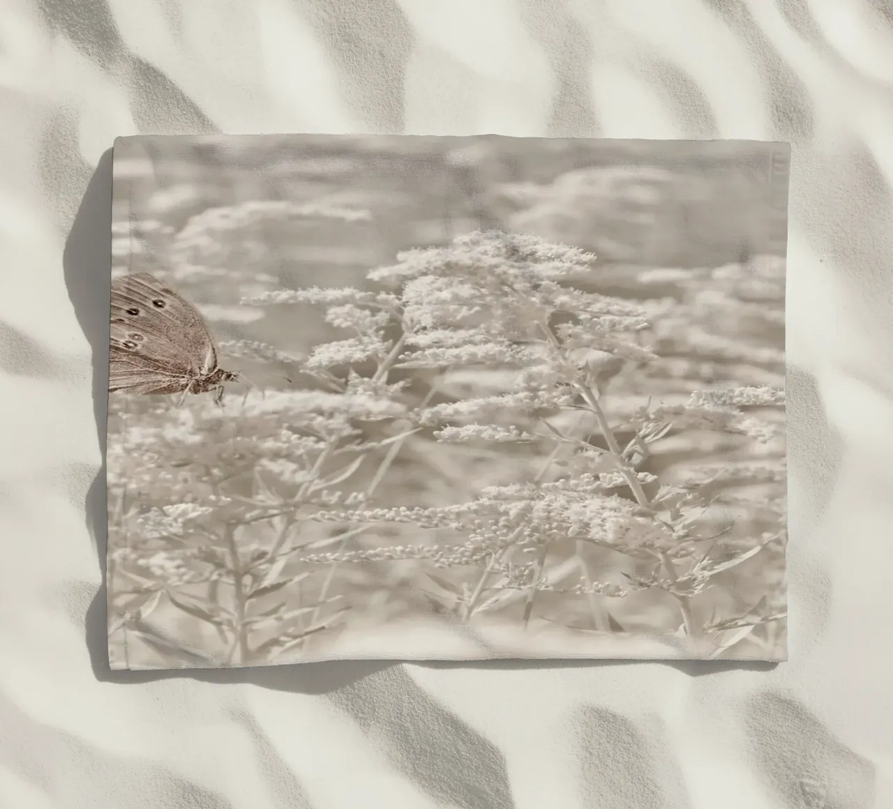 Farfalla telo mare da Atteloi