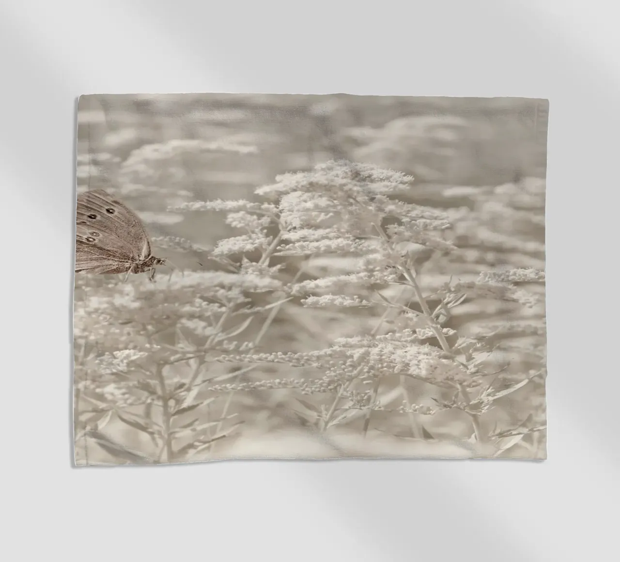 Farfalla telo mare da Atteloi