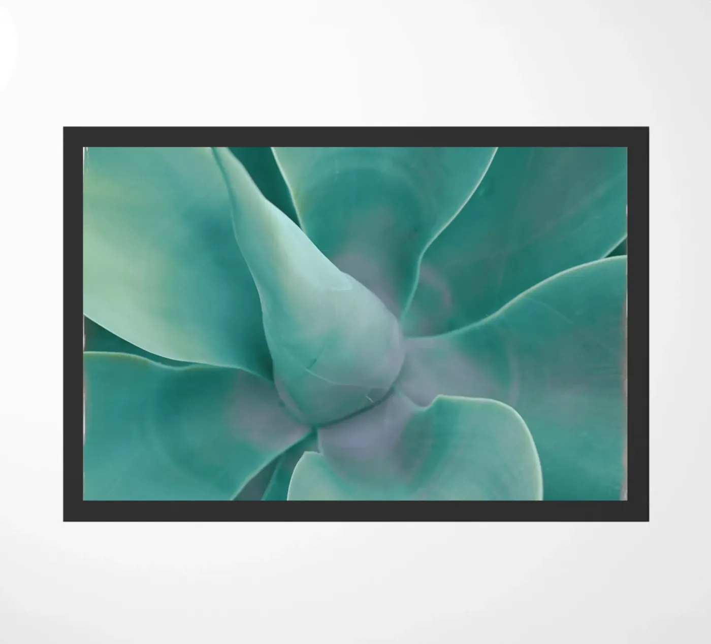 Turquoise Cactus doormat by Eva Nev Photography