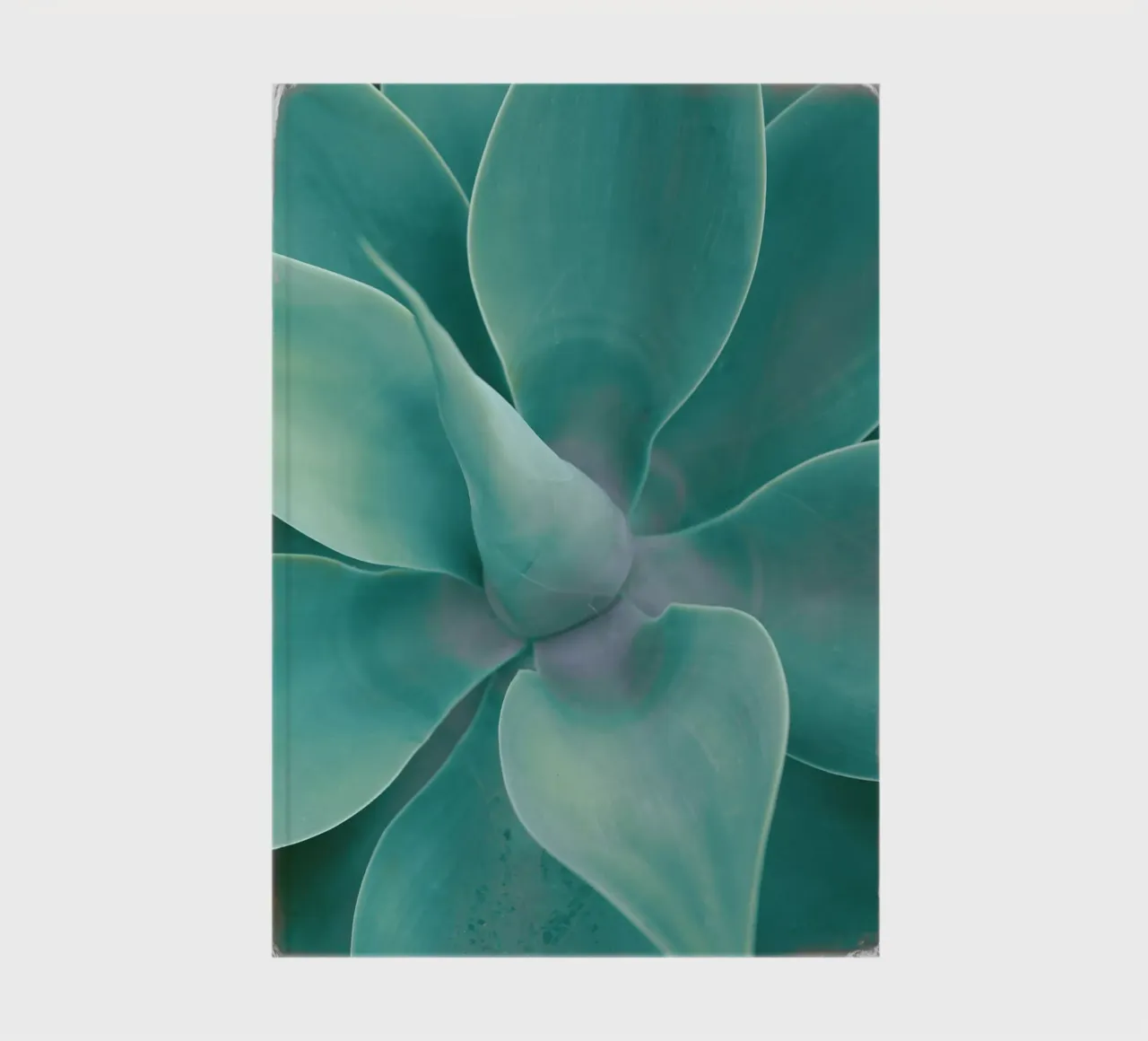 Turquoise Cactus notebook by Eva Nev Photography