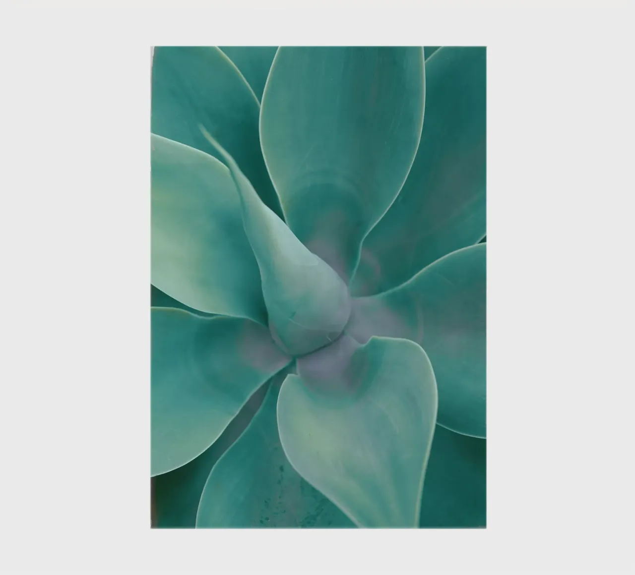 Turquoise Cactus notebook by Eva Nev Photography