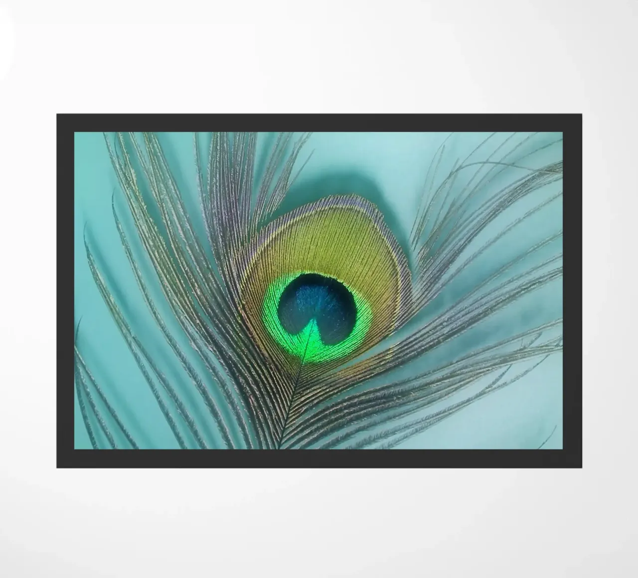 Pavone zerbino da Eva Nev Photography