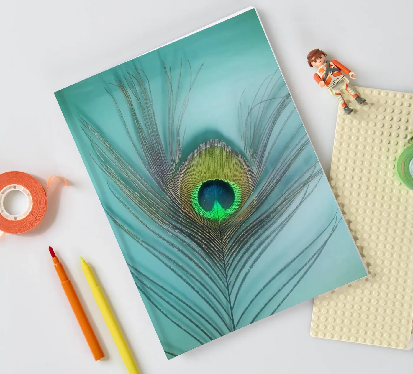 Peacock notebook by Eva Nev Photography