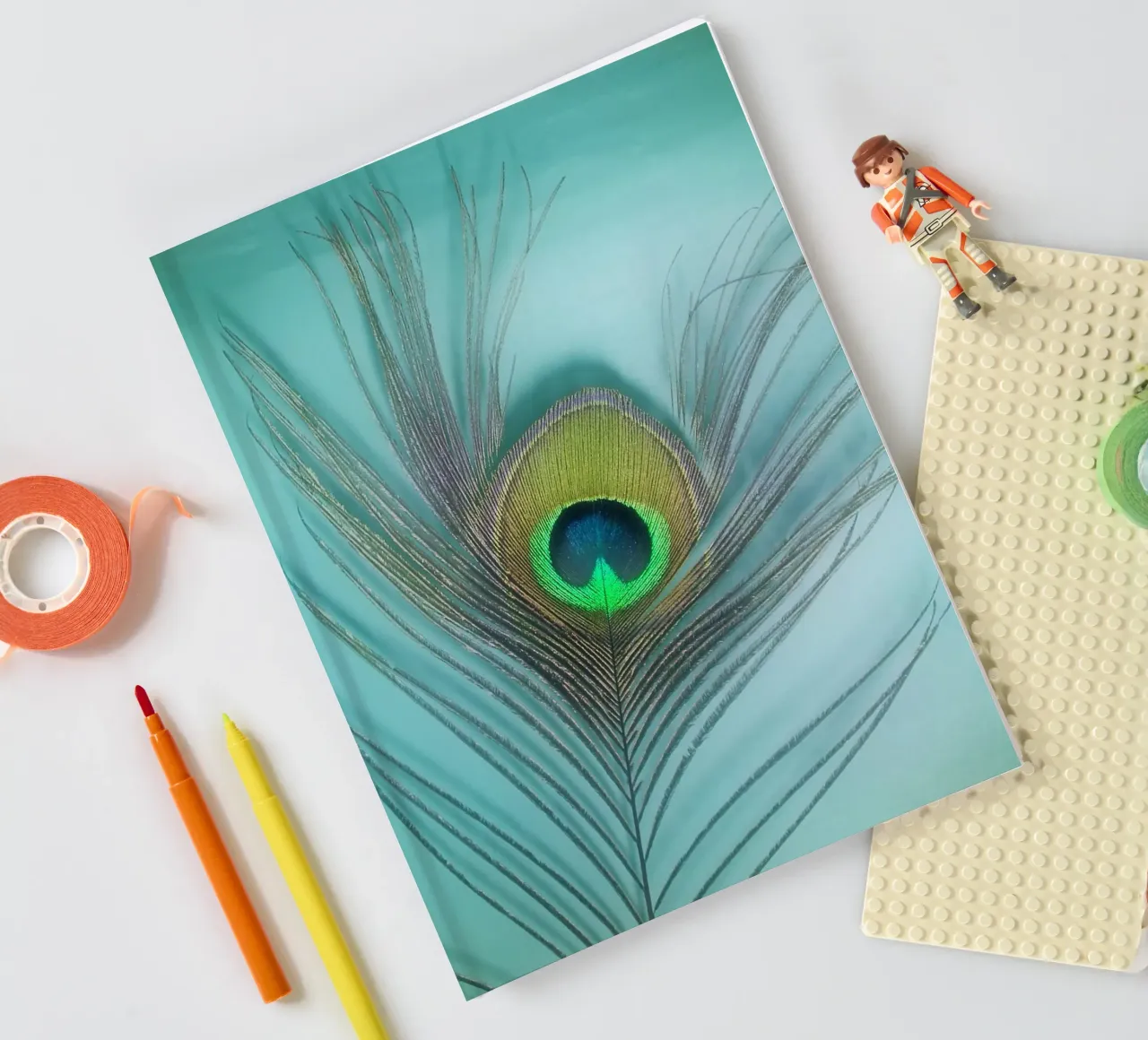 Peacock notebook by Eva Nev Photography