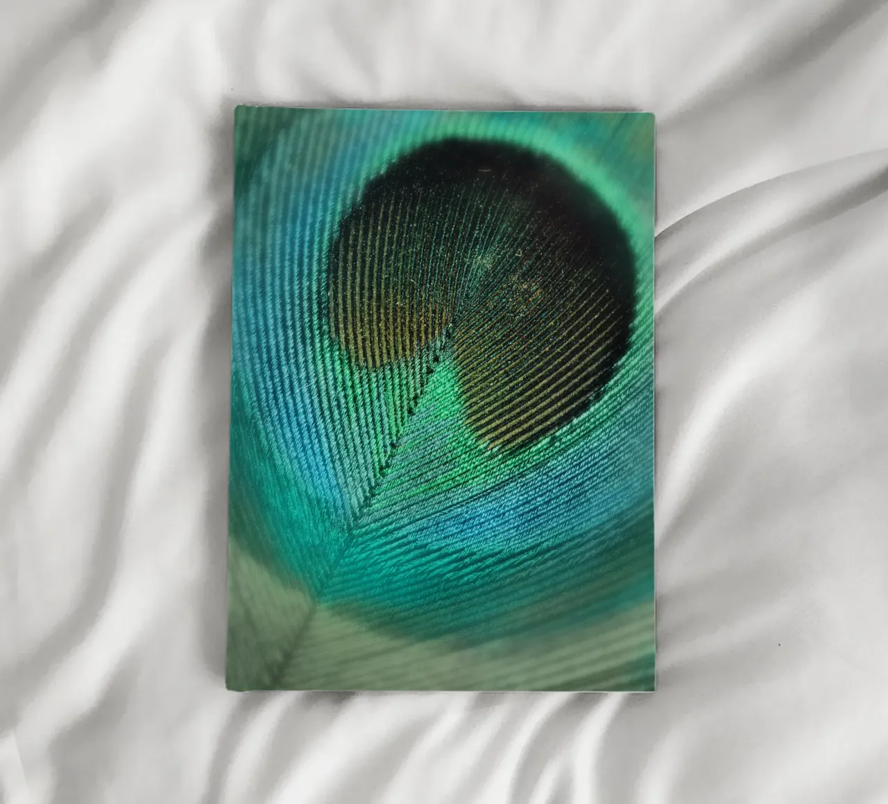 Teal Feather notebook by Eva Nev Photography