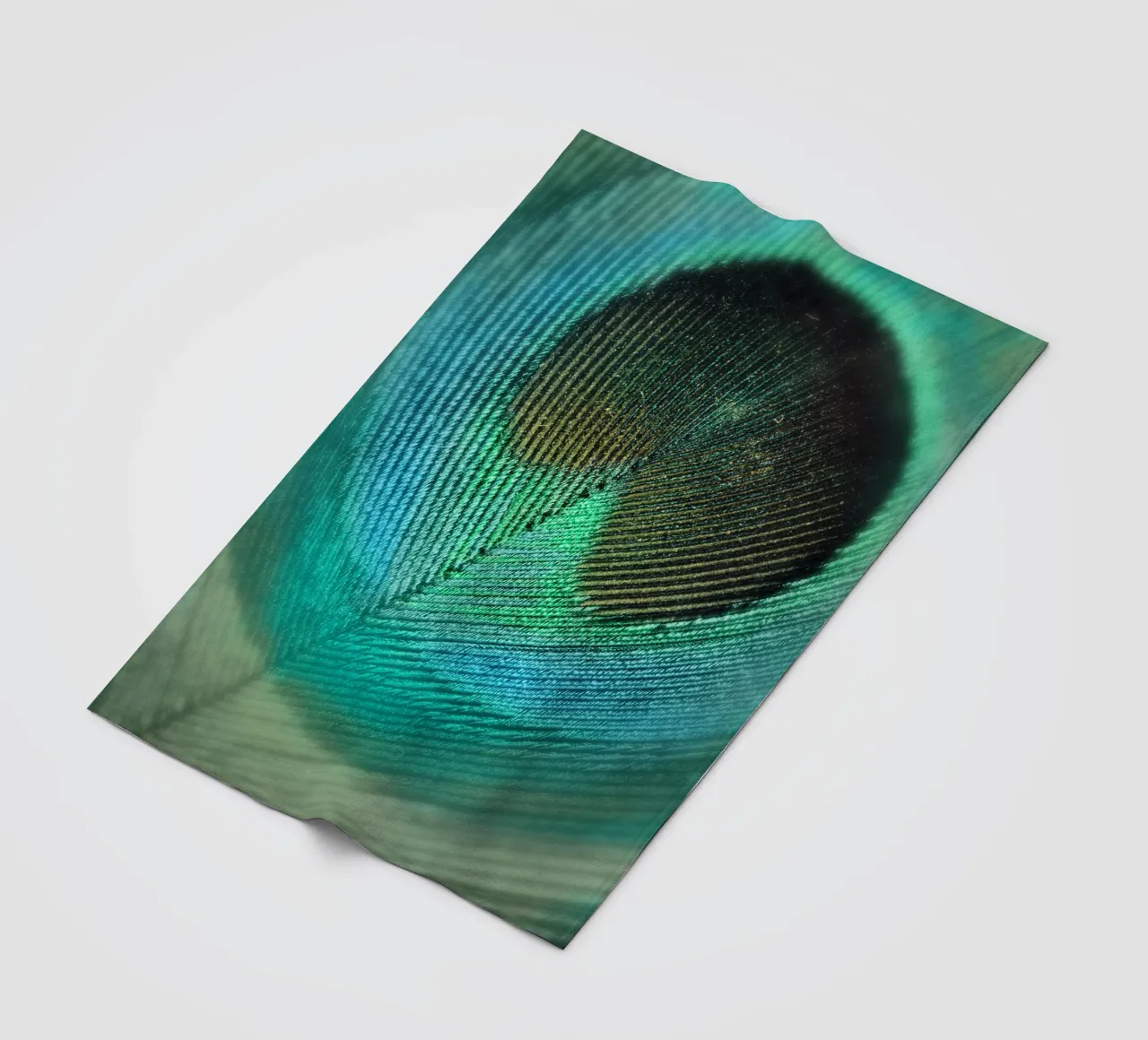 Blaugrüne Feder Fleecedecke von Eva Nev Photography
