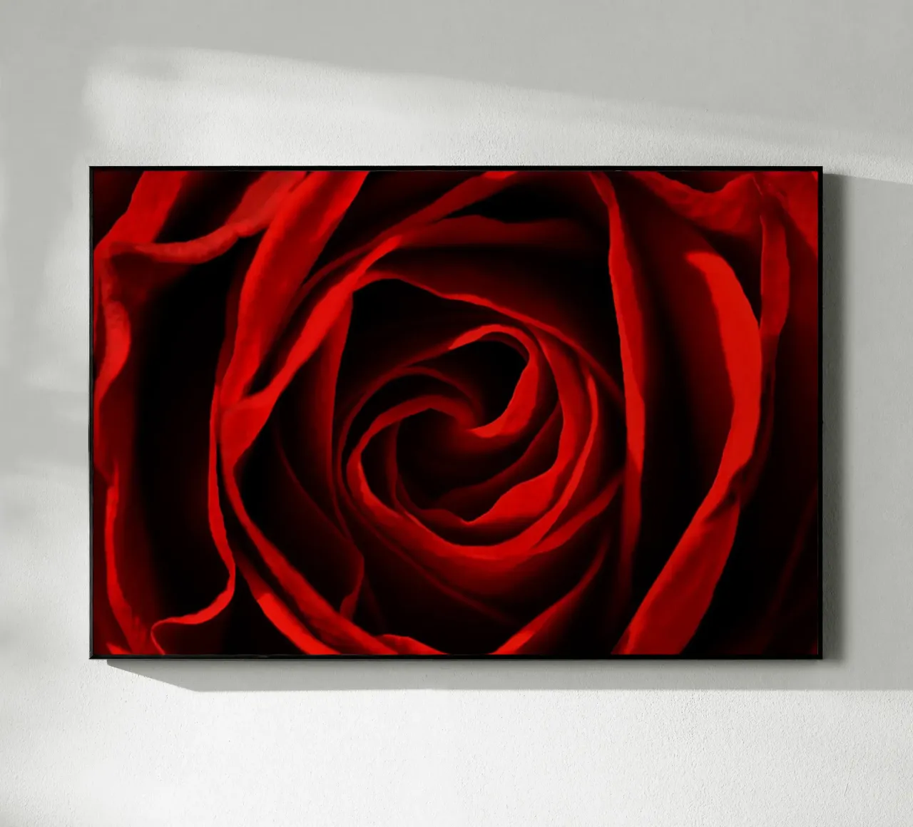 Rosa rossa plexiglass da Atteloi