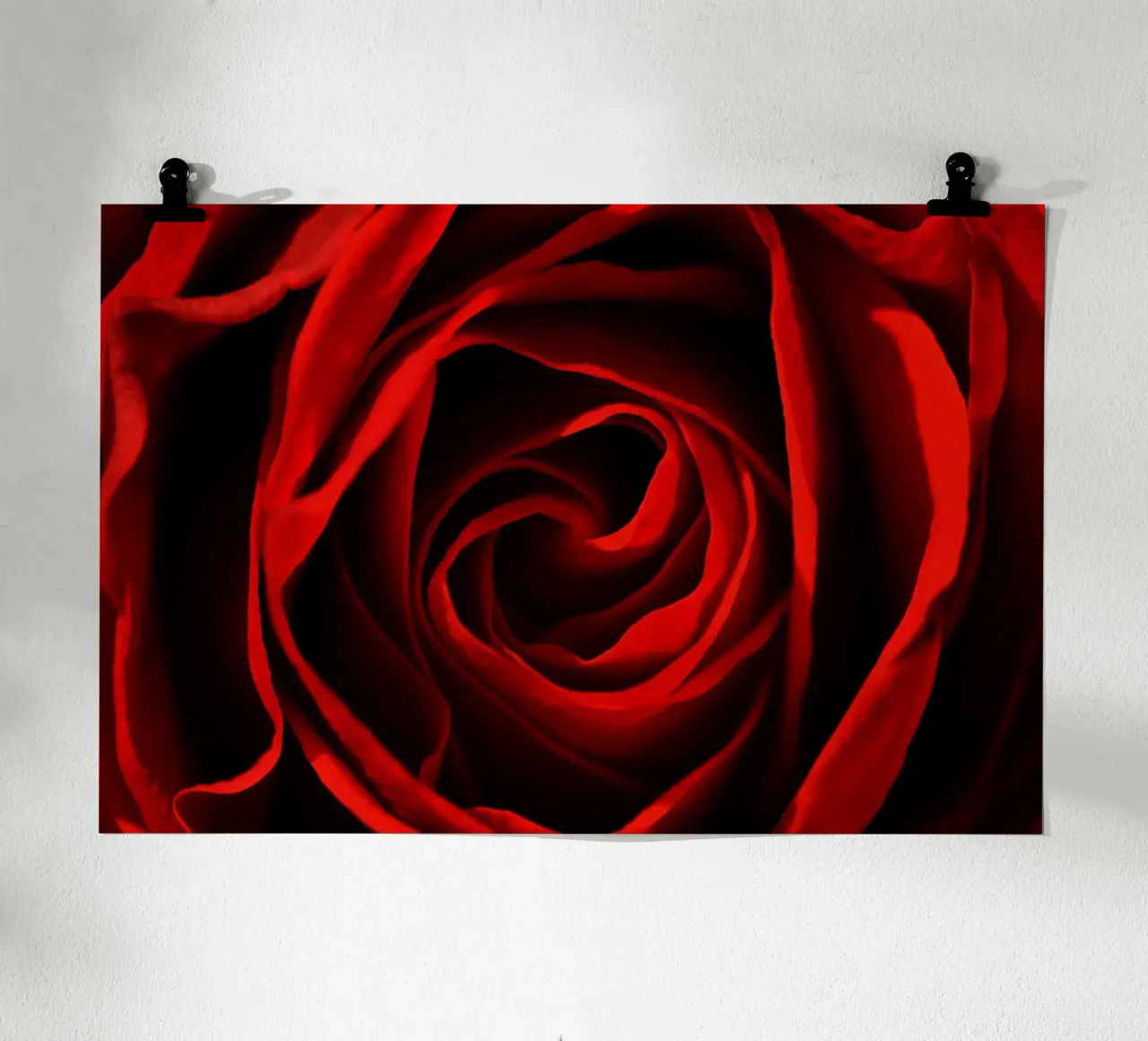 Rosa rossa poster da Atteloi