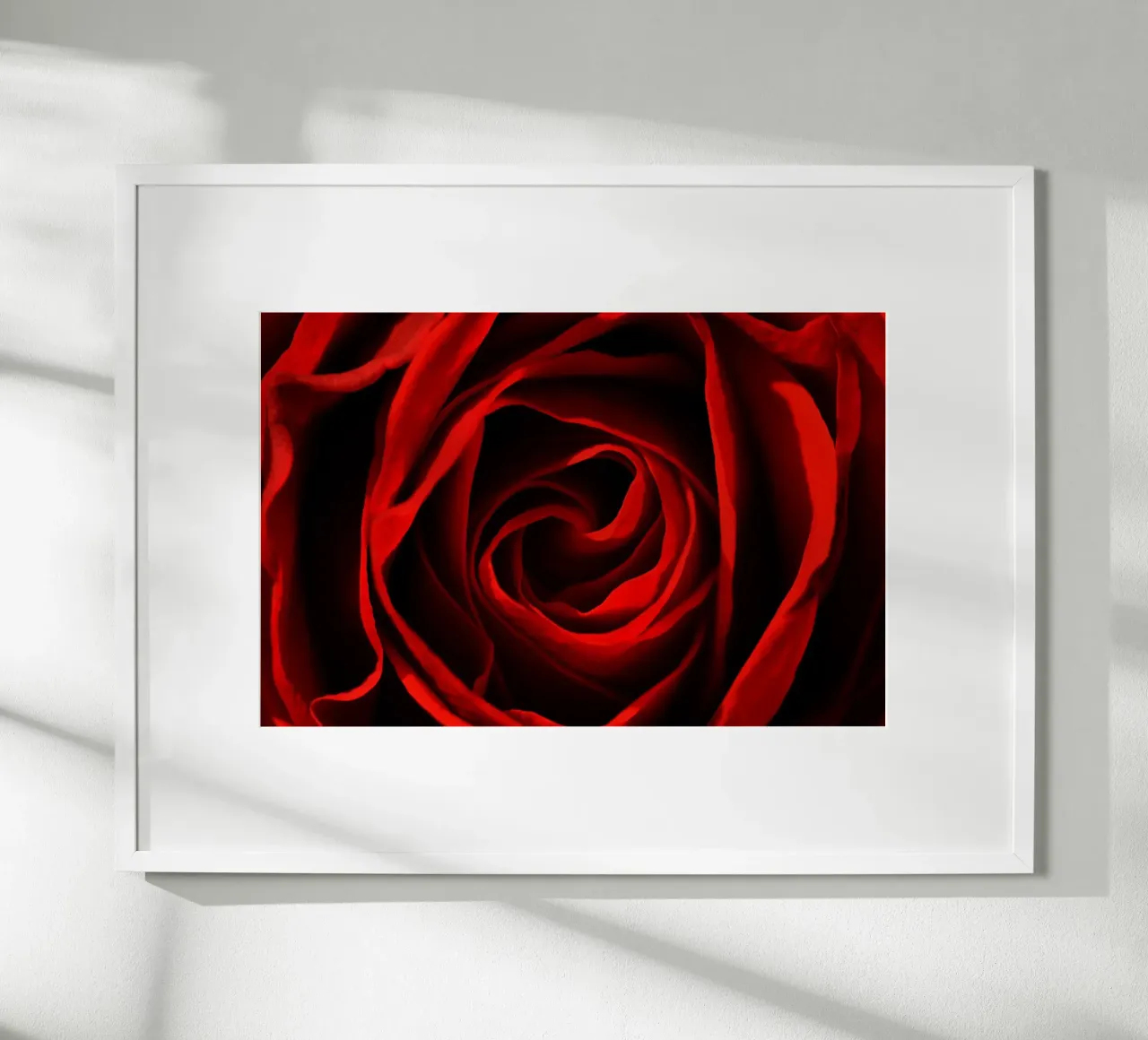 Rosa rossa poster da Atteloi