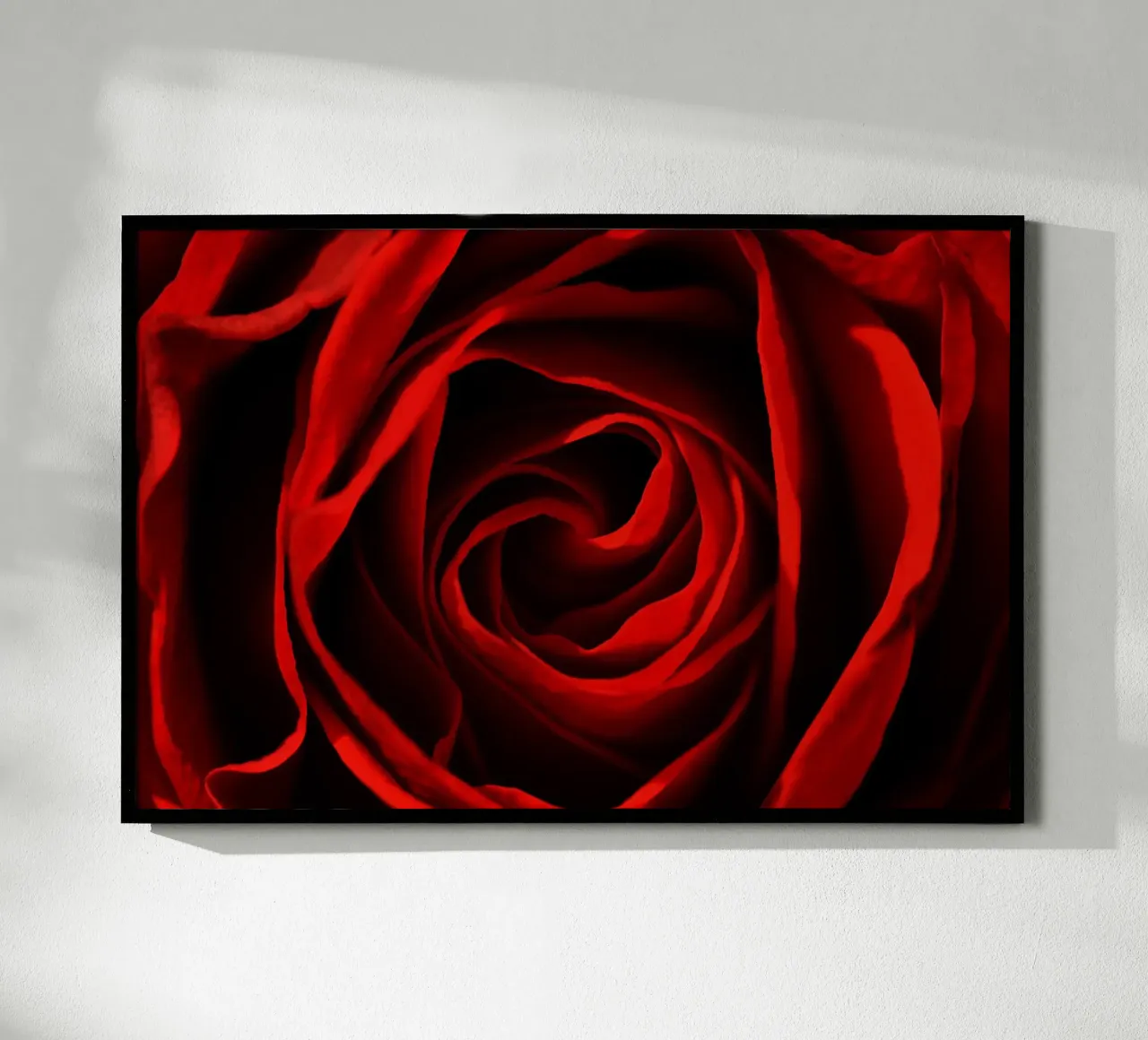 Rosa rossa poster da Atteloi