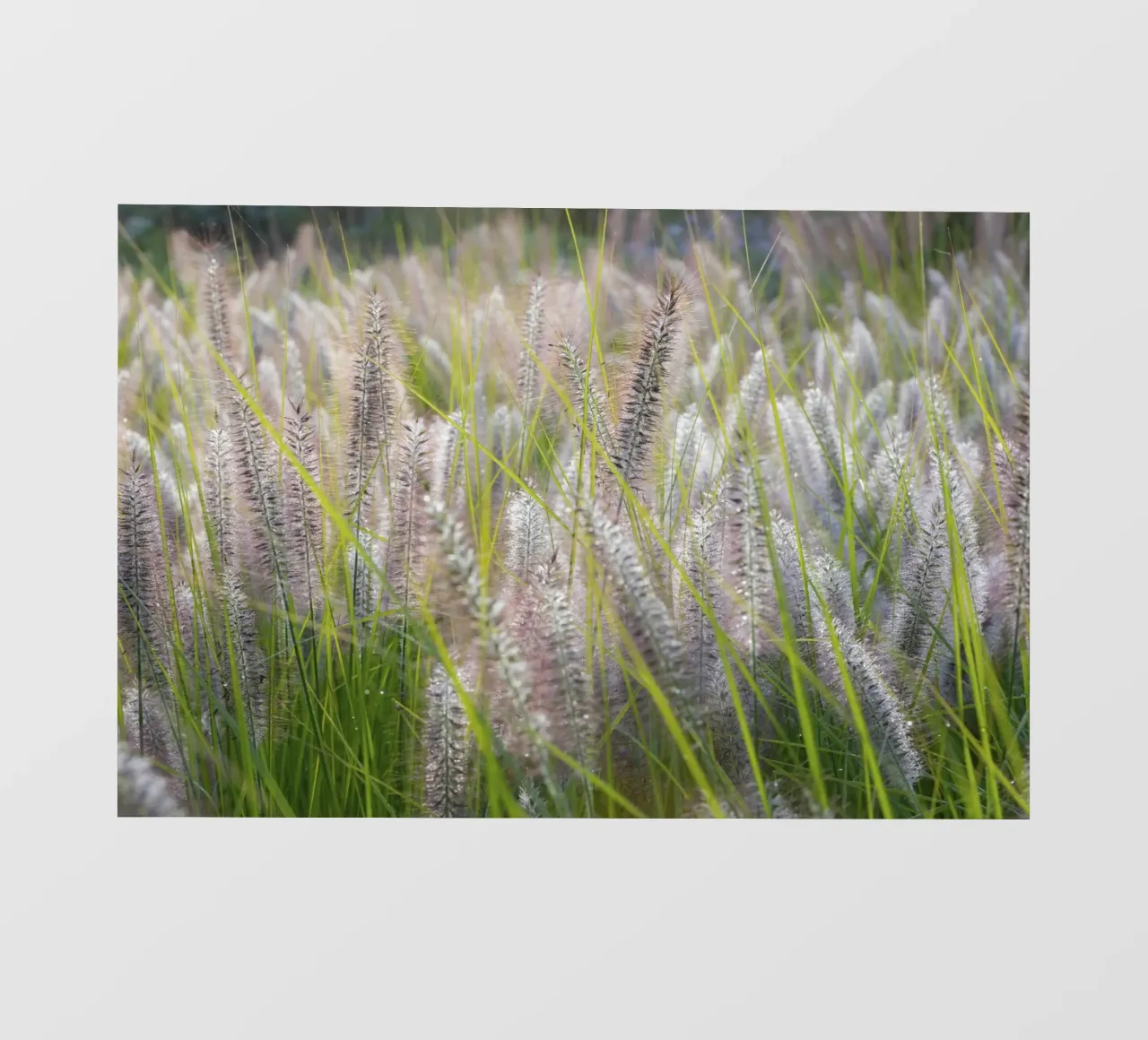 Lampada pulisci erba telo in pvc da Barbara Buderath Fotodesign