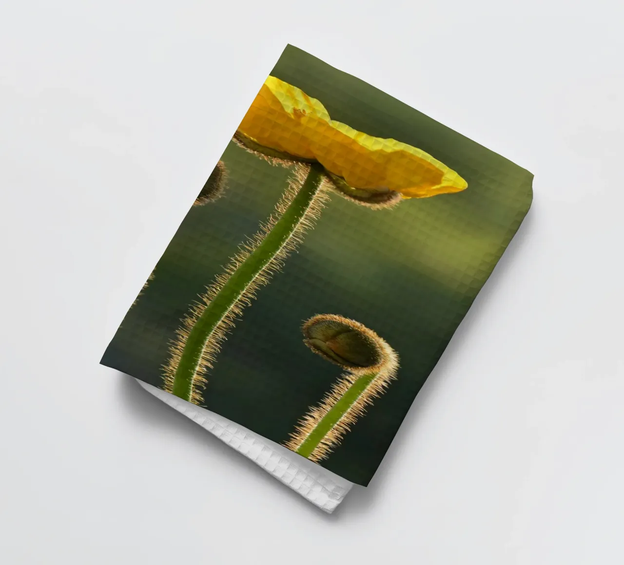 Coquelicot jaune torchon de Atteloi