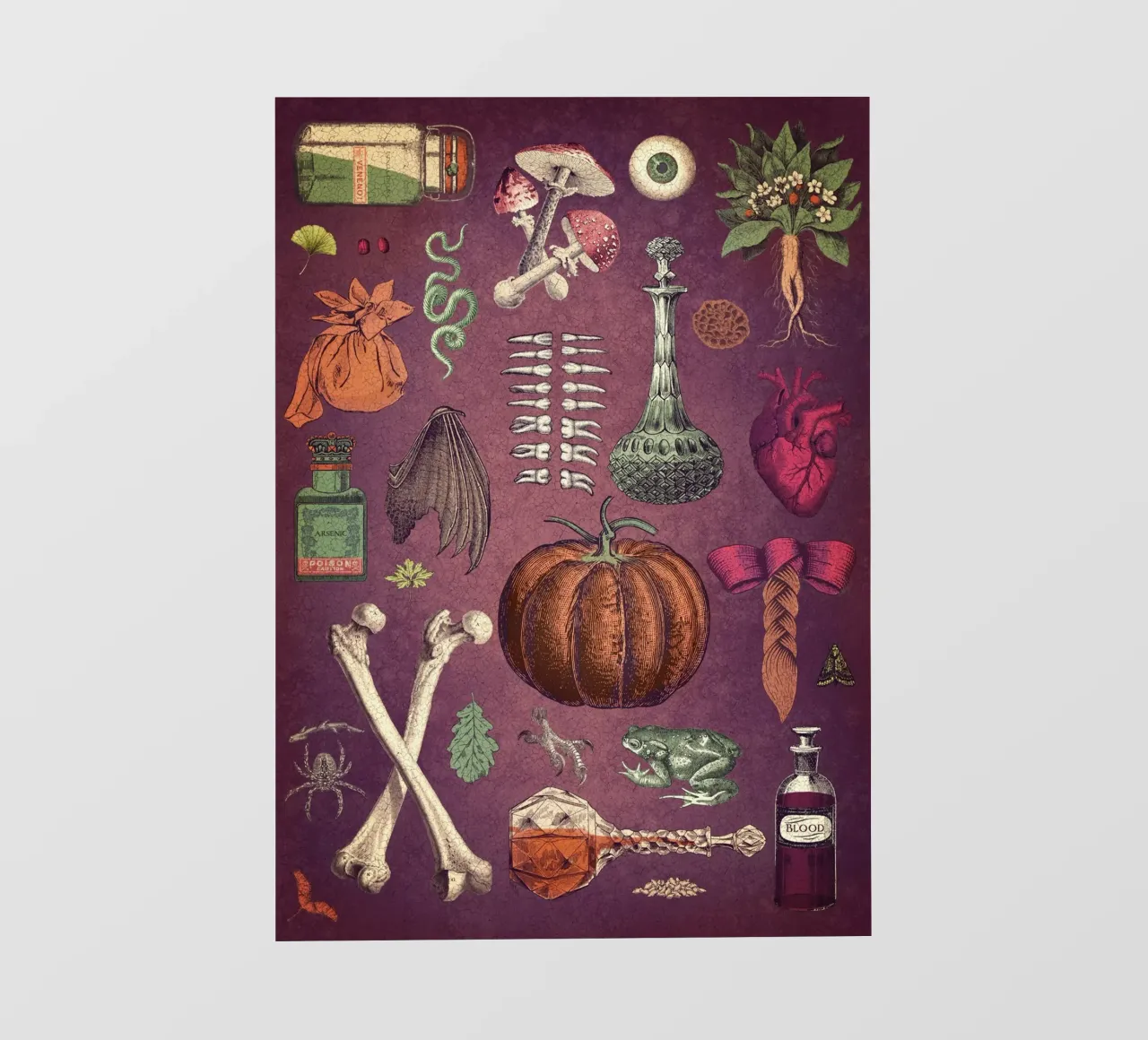 Collage Basic Ingredients for a Witch pellicola backlit da Eva Nev