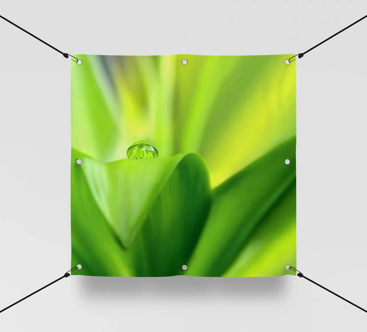 Wassertropfen PVC Plane von Atteloi