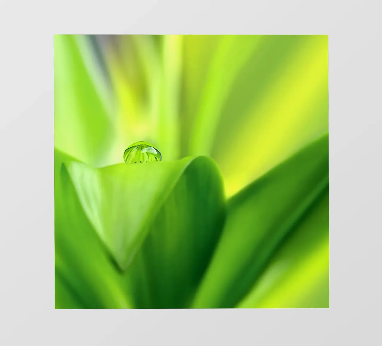 Wassertropfen PVC Plane von Atteloi