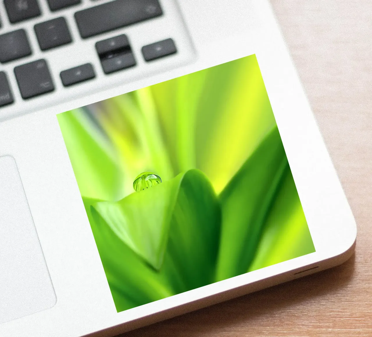 Wassertropfen Sticker von Atteloi