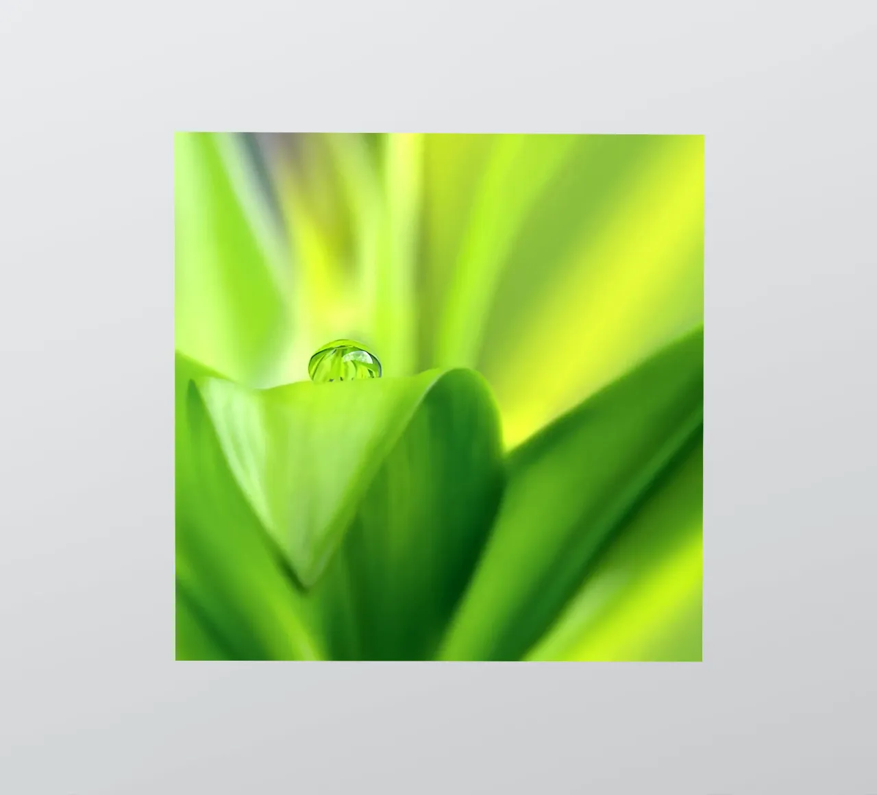 Gocce d'acqua adesivo da Atteloi