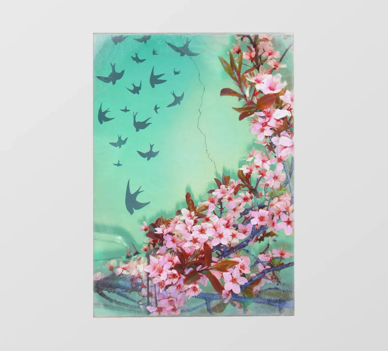 Inverted Flight of Swallows backlit film by Eva Nev Photography