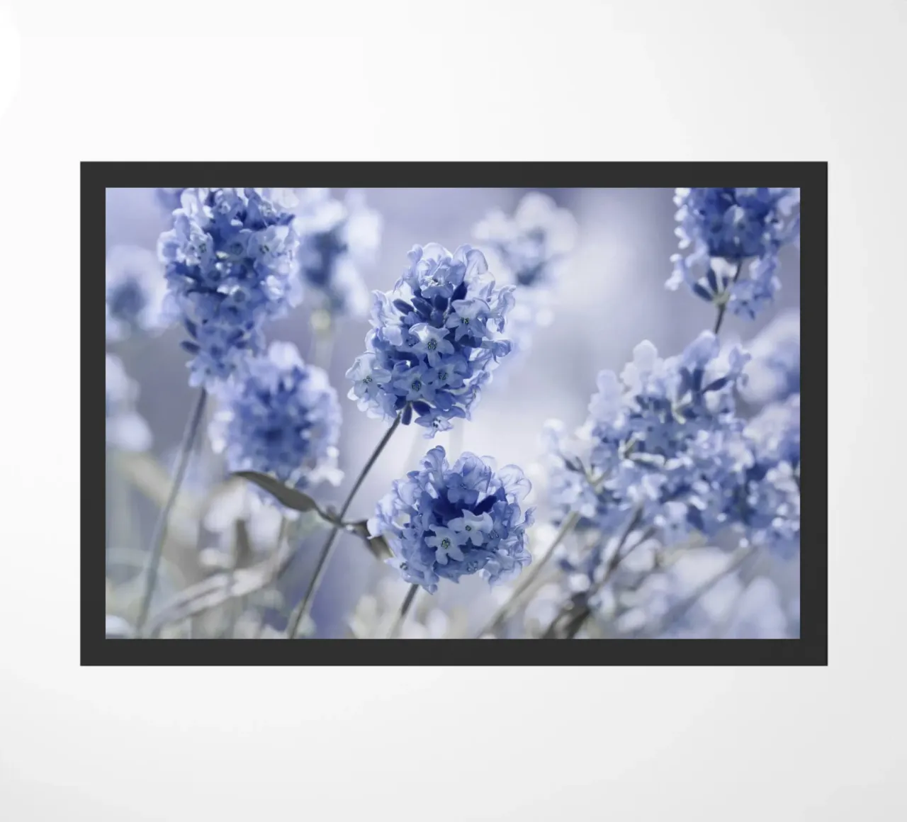 Lavender doormat by Atteloi