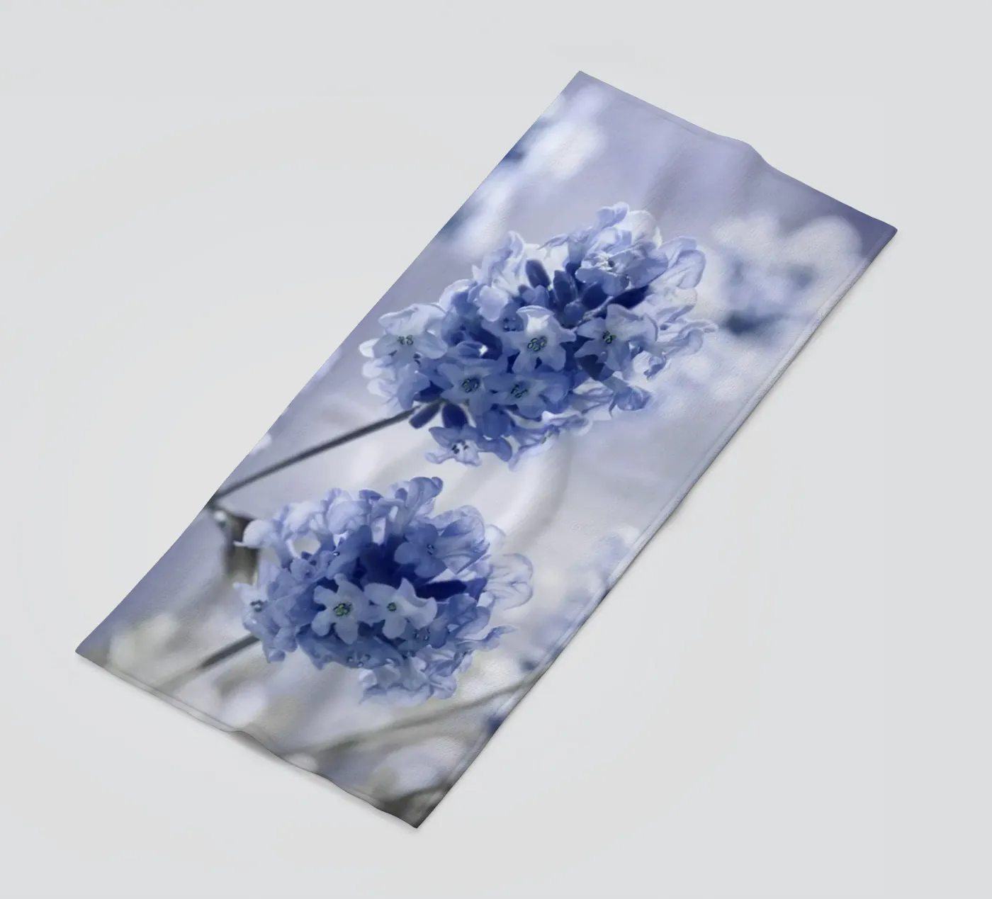 Lavanda telo mare da Atteloi Fotografie