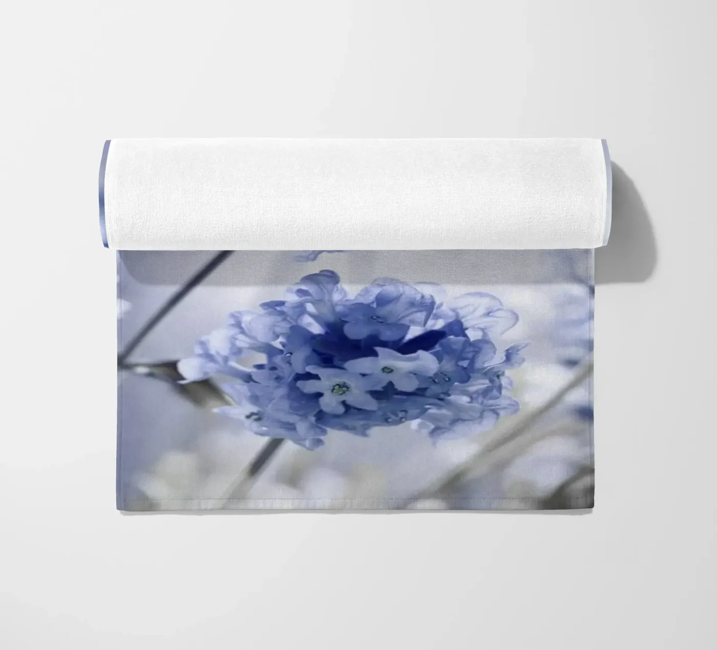 Lavanda telo mare da Atteloi Fotografie