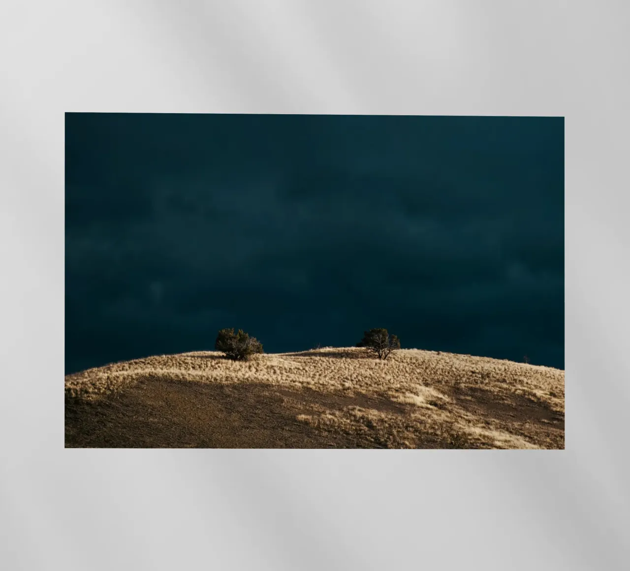 The Calm Before pellicola backlit da wowhannahphotos