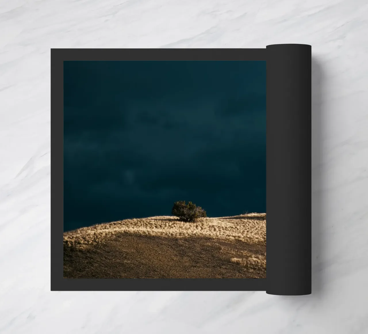 The Calm Before zerbino da wowhannahphotos