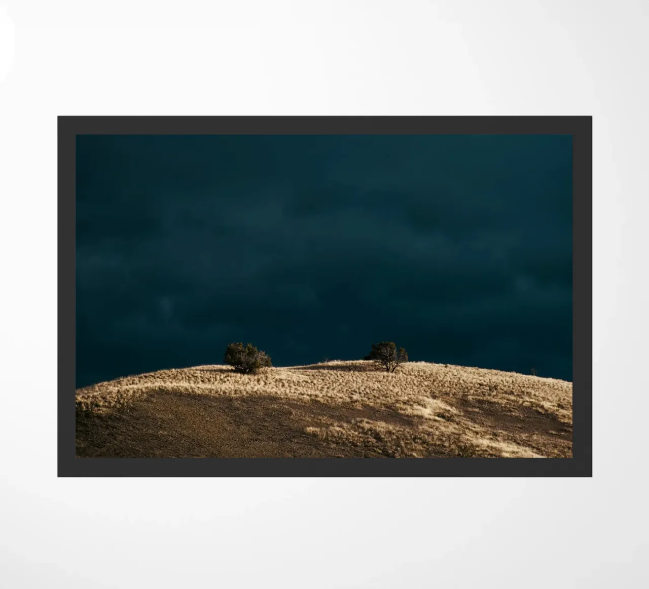 The Calm Before zerbino da wowhannahphotos